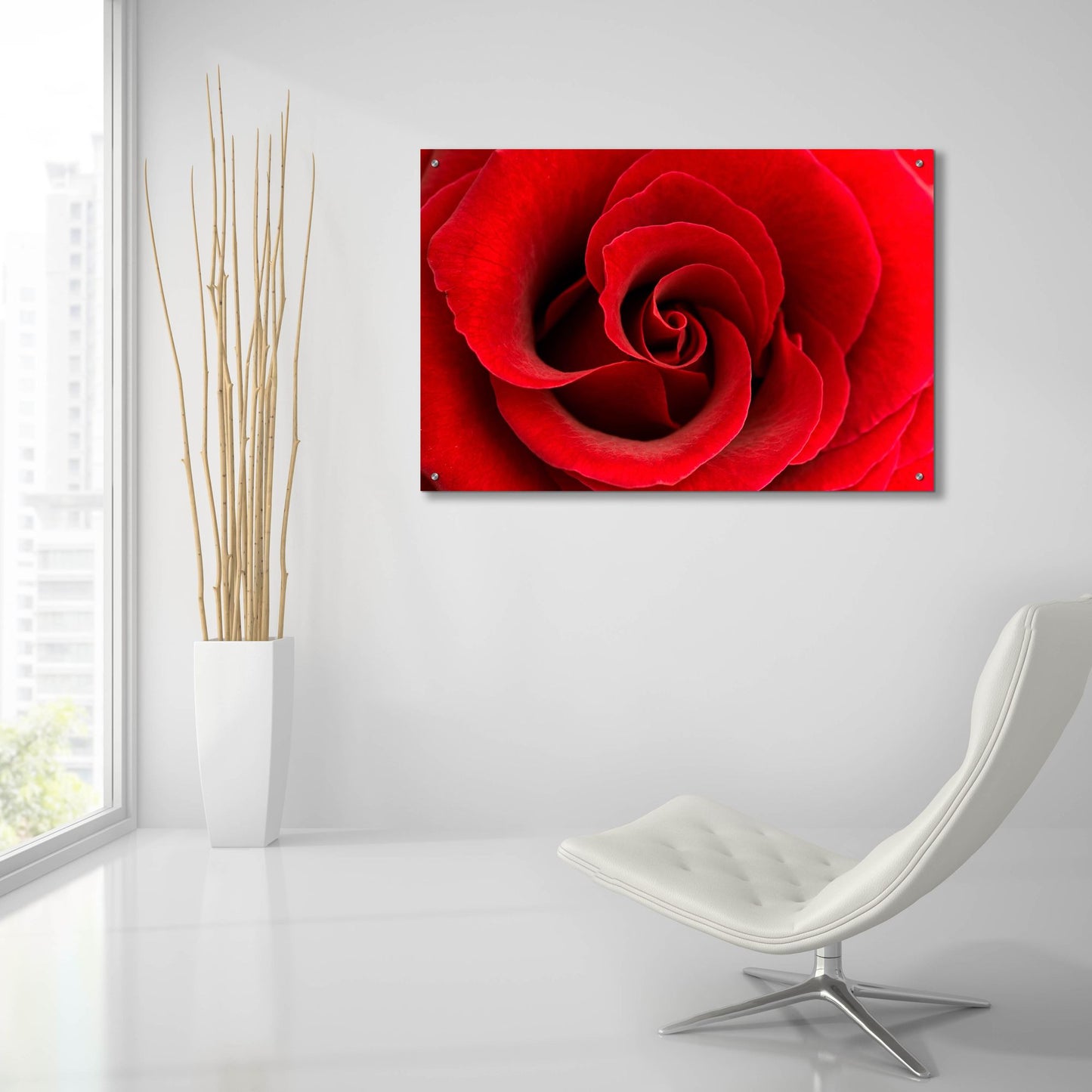 Epic Art 'Red Rose 03' by Tom Quartermaine, Acrylic Glass Wall Art,36x24