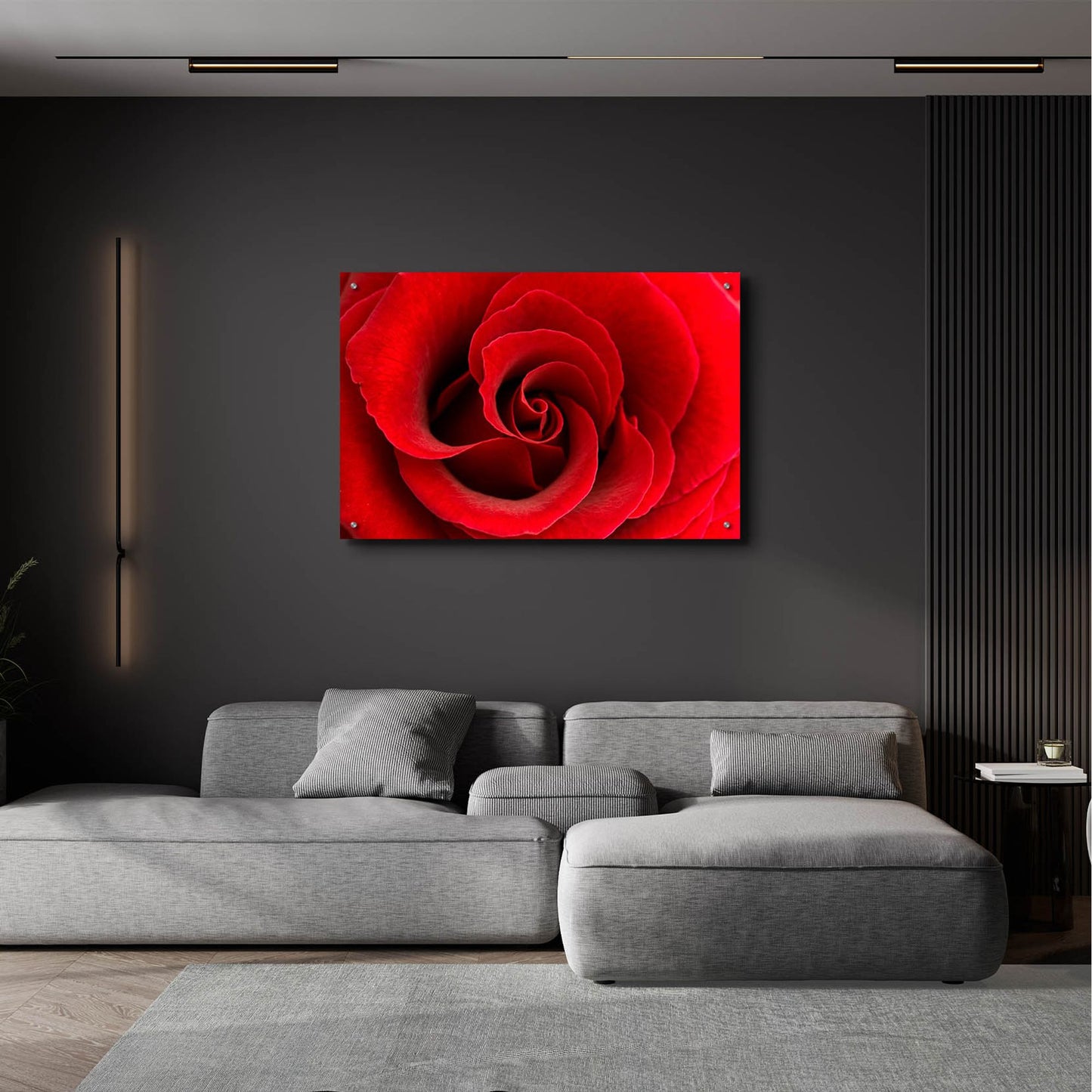 Epic Art 'Red Rose 03' by Tom Quartermaine, Acrylic Glass Wall Art,36x24