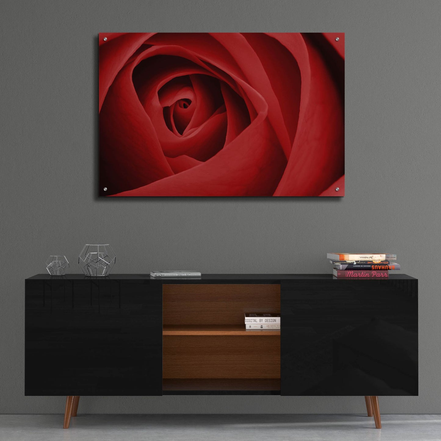 Epic Art 'Red Rose' by Tom Quartermaine, Acrylic Glass Wall Art,36x24