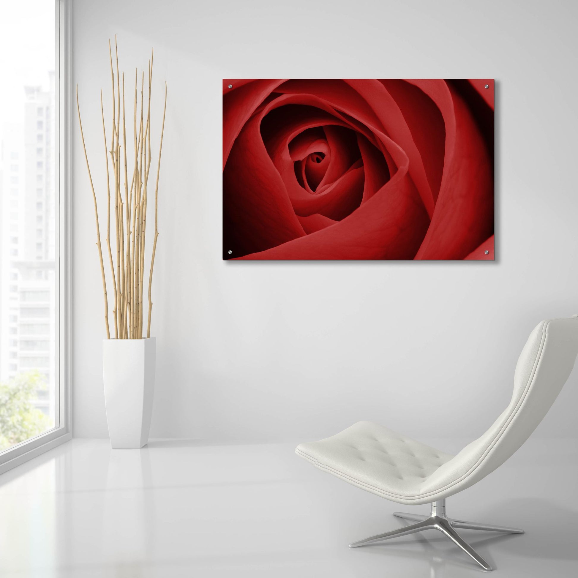 Epic Art 'Red Rose' by Tom Quartermaine, Acrylic Glass Wall Art,36x24