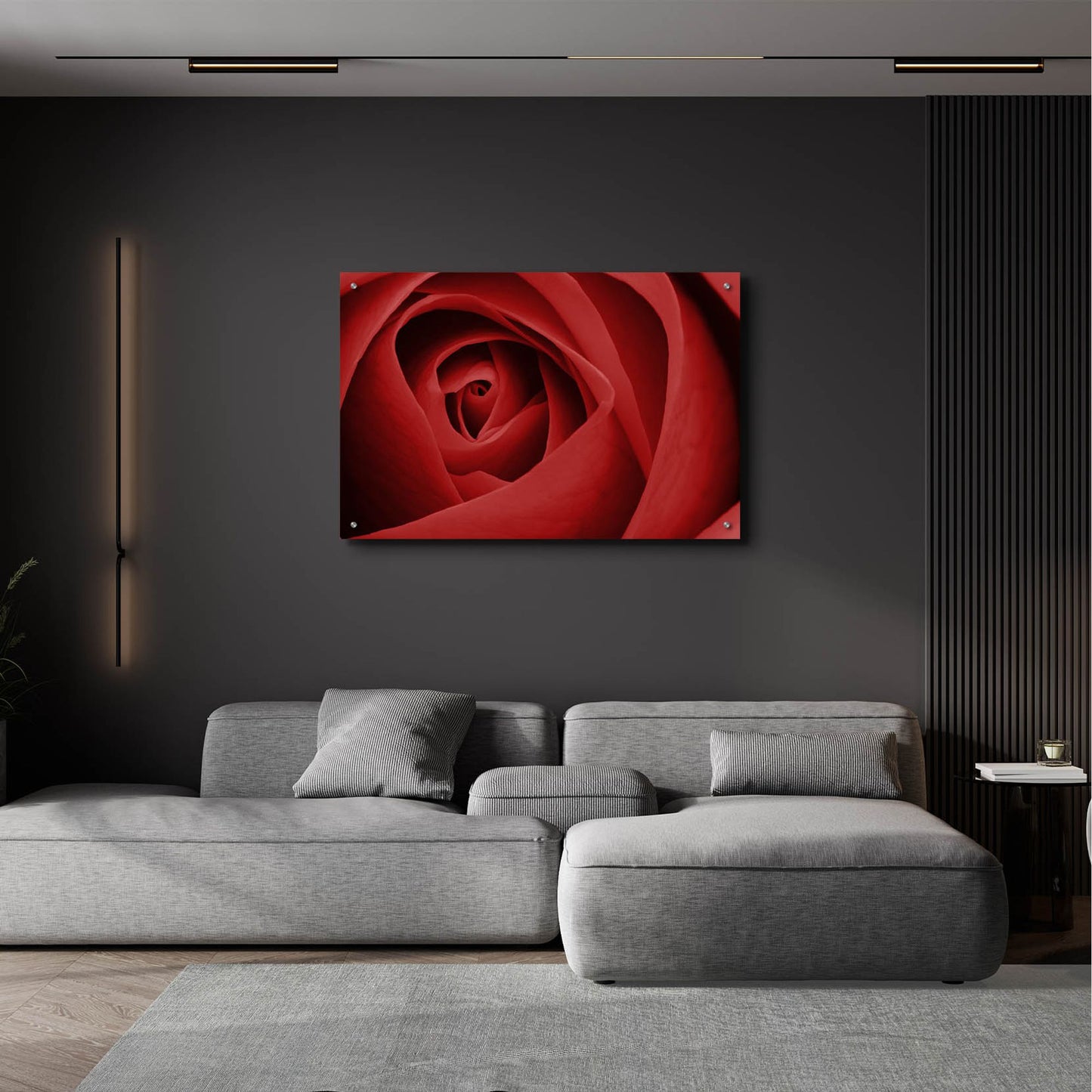 Epic Art 'Red Rose' by Tom Quartermaine, Acrylic Glass Wall Art,36x24