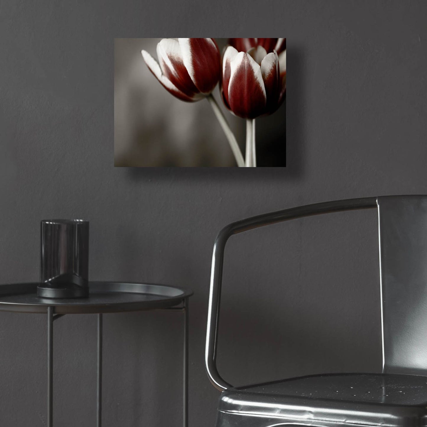 Epic Art 'Red Tulips On Grey 01' by Tom Quartermaine, Acrylic Glass Wall Art,16x12