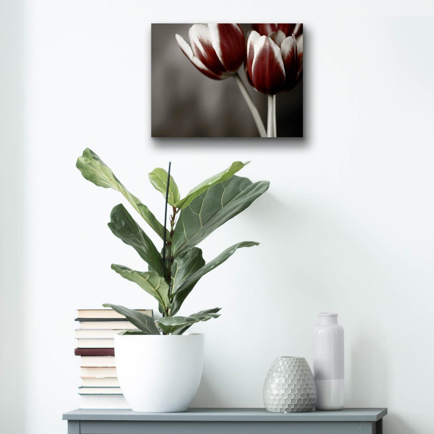 Epic Art 'Red Tulips On Grey 01' by Tom Quartermaine, Acrylic Glass Wall Art,16x12