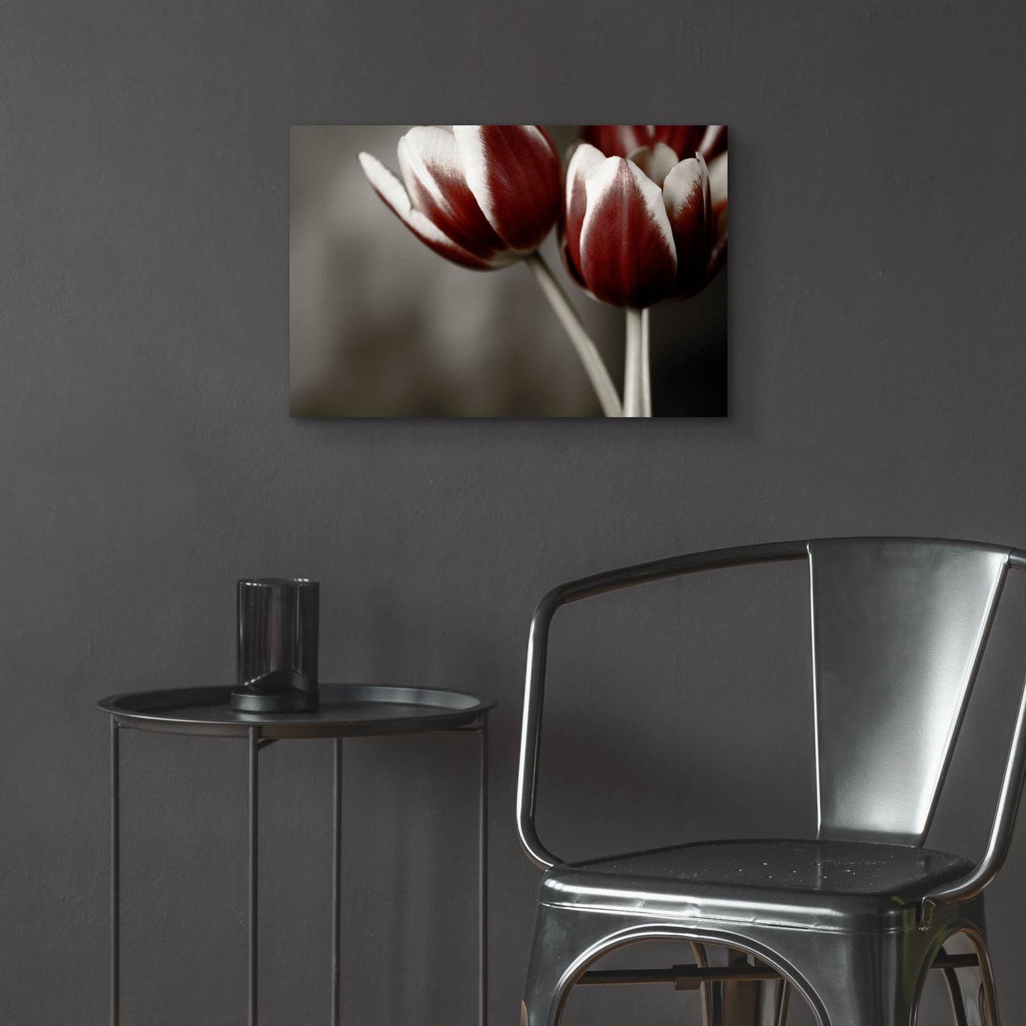 Epic Art 'Red Tulips On Grey 01' by Tom Quartermaine, Acrylic Glass Wall Art,24x16