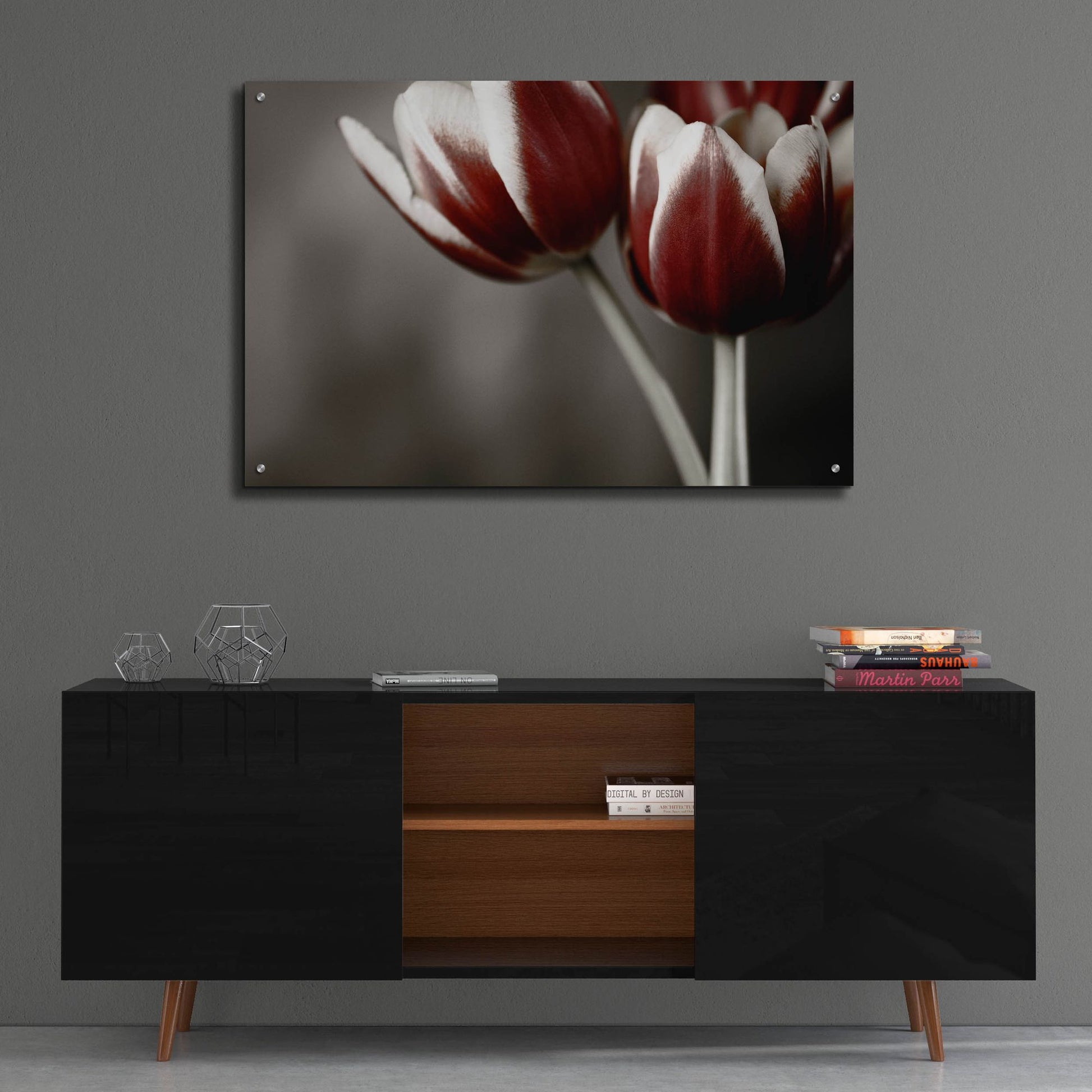 Epic Art 'Red Tulips On Grey 01' by Tom Quartermaine, Acrylic Glass Wall Art,36x24