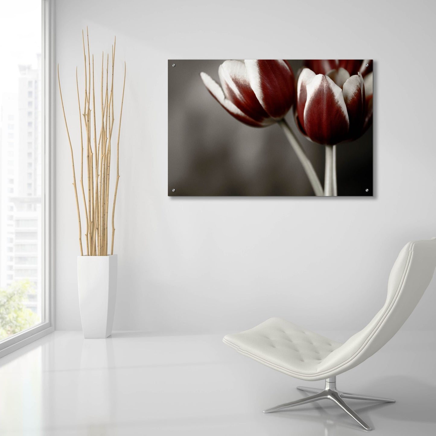 Epic Art 'Red Tulips On Grey 01' by Tom Quartermaine, Acrylic Glass Wall Art,36x24