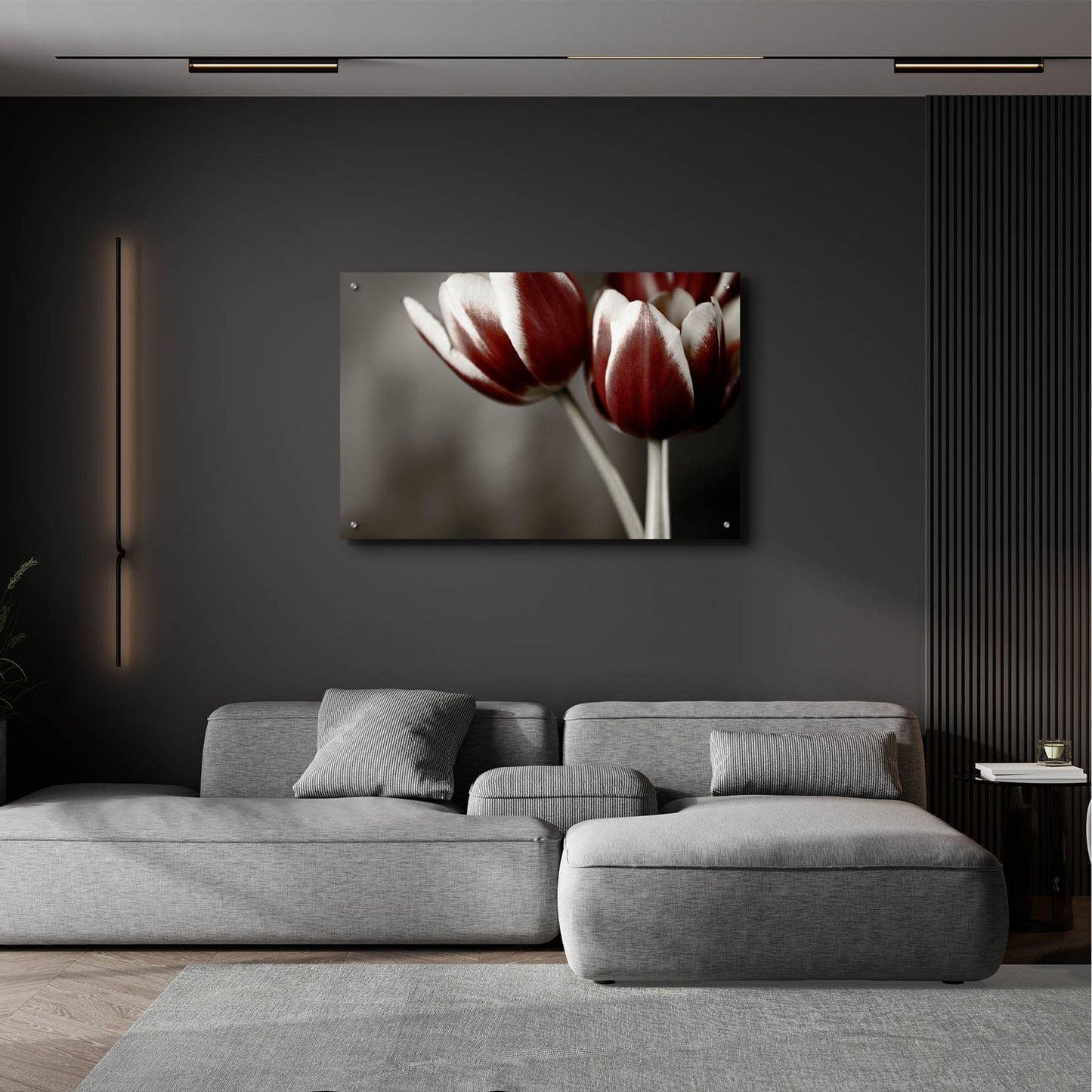 Epic Art 'Red Tulips On Grey 01' by Tom Quartermaine, Acrylic Glass Wall Art,36x24