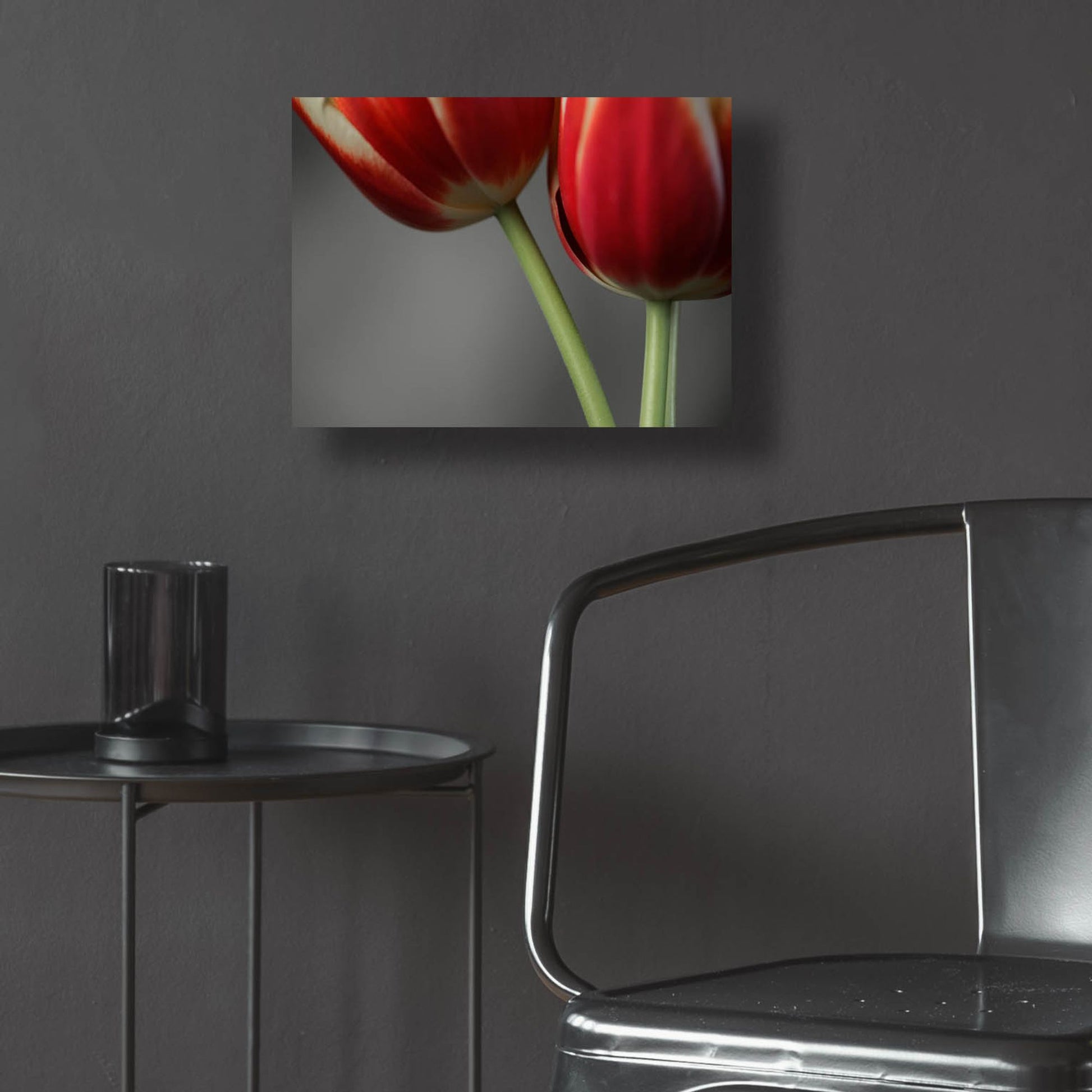 Epic Art 'Red Tulips On Grey 02' by Tom Quartermaine, Acrylic Glass Wall Art,16x12