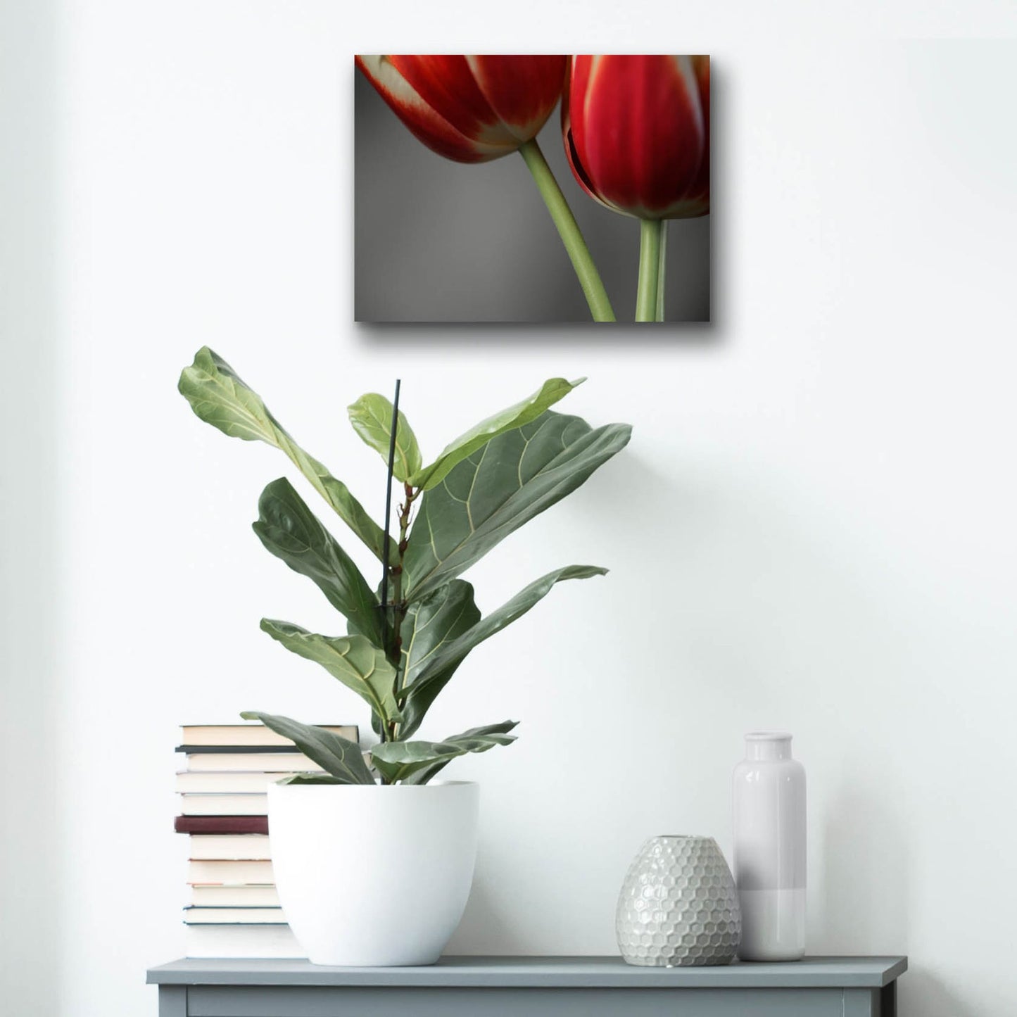 Epic Art 'Red Tulips On Grey 02' by Tom Quartermaine, Acrylic Glass Wall Art,16x12