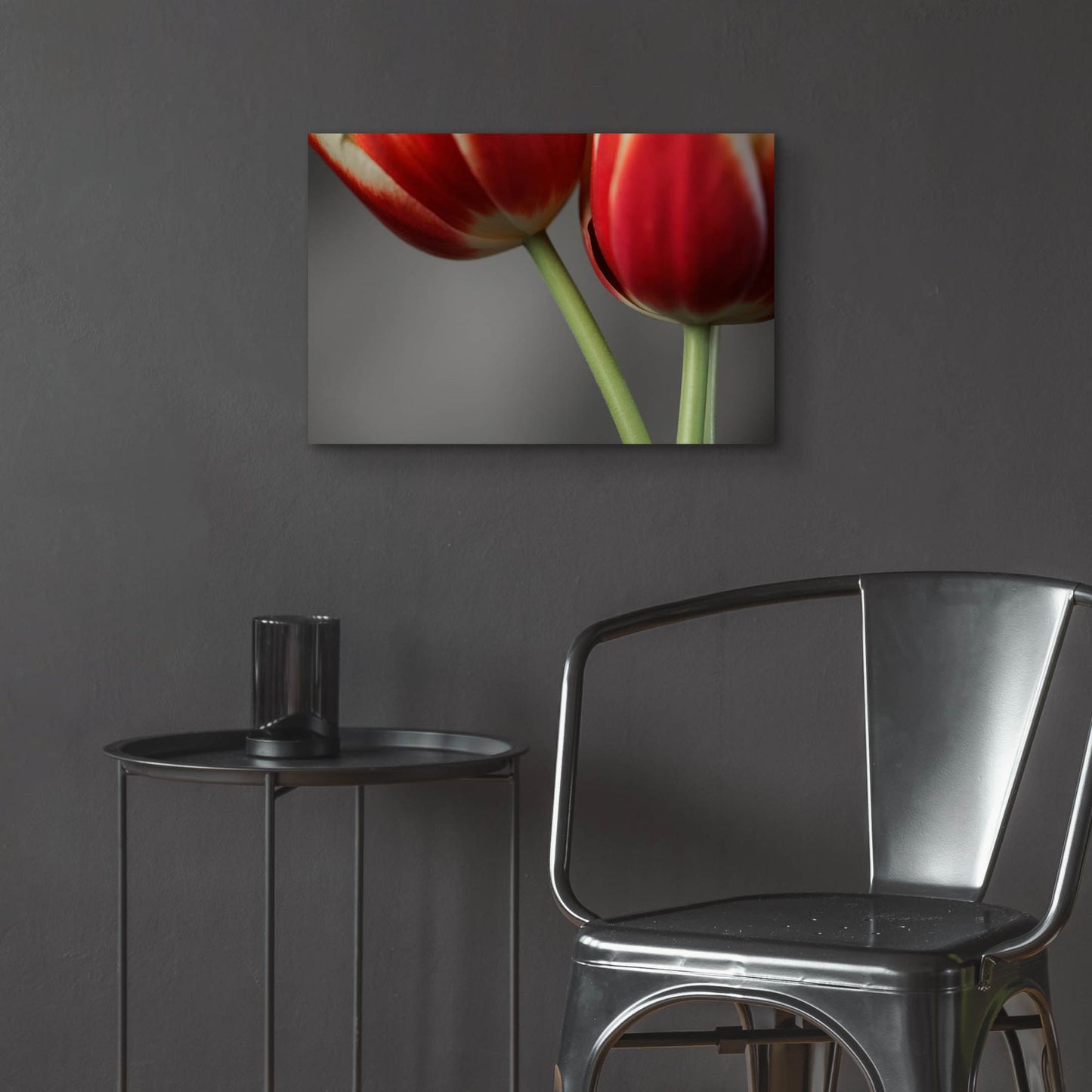 Epic Art 'Red Tulips On Grey 02' by Tom Quartermaine, Acrylic Glass Wall Art,24x16