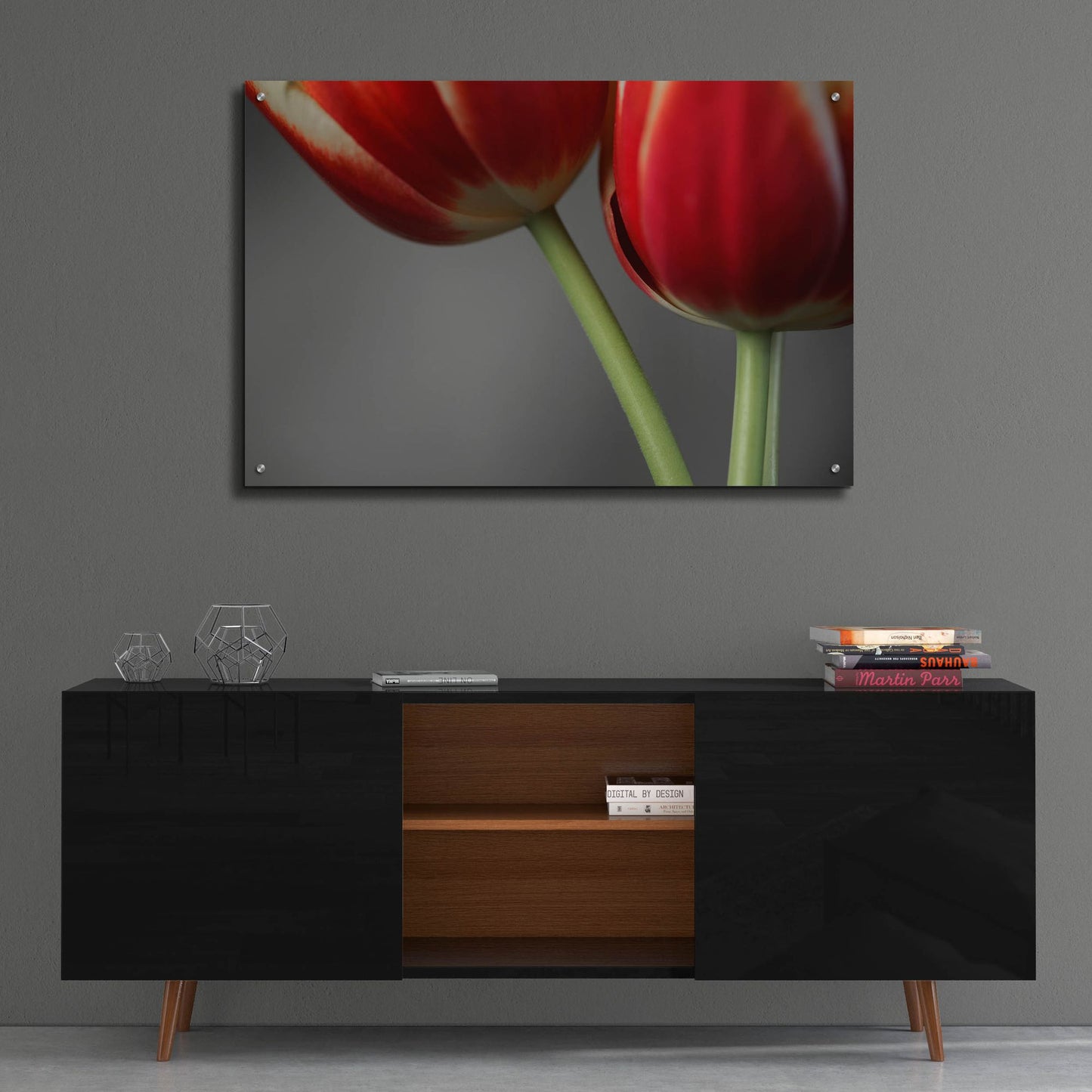 Epic Art 'Red Tulips On Grey 02' by Tom Quartermaine, Acrylic Glass Wall Art,36x24