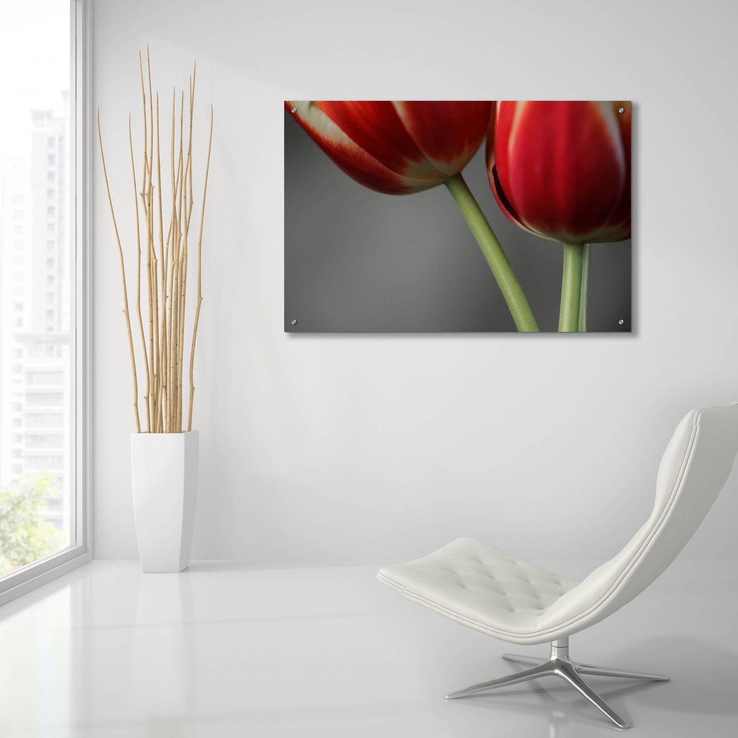 Epic Art 'Red Tulips On Grey 02' by Tom Quartermaine, Acrylic Glass Wall Art,36x24