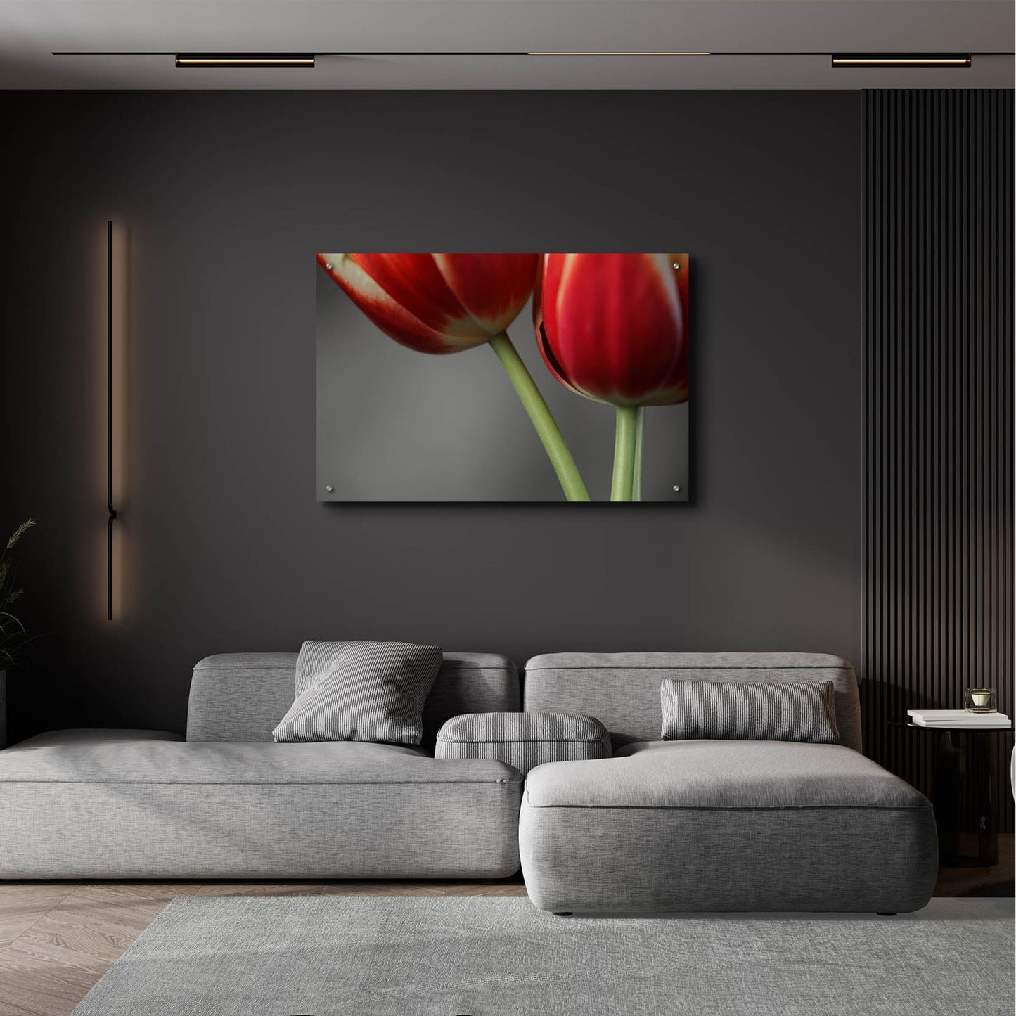 Epic Art 'Red Tulips On Grey 02' by Tom Quartermaine, Acrylic Glass Wall Art,36x24