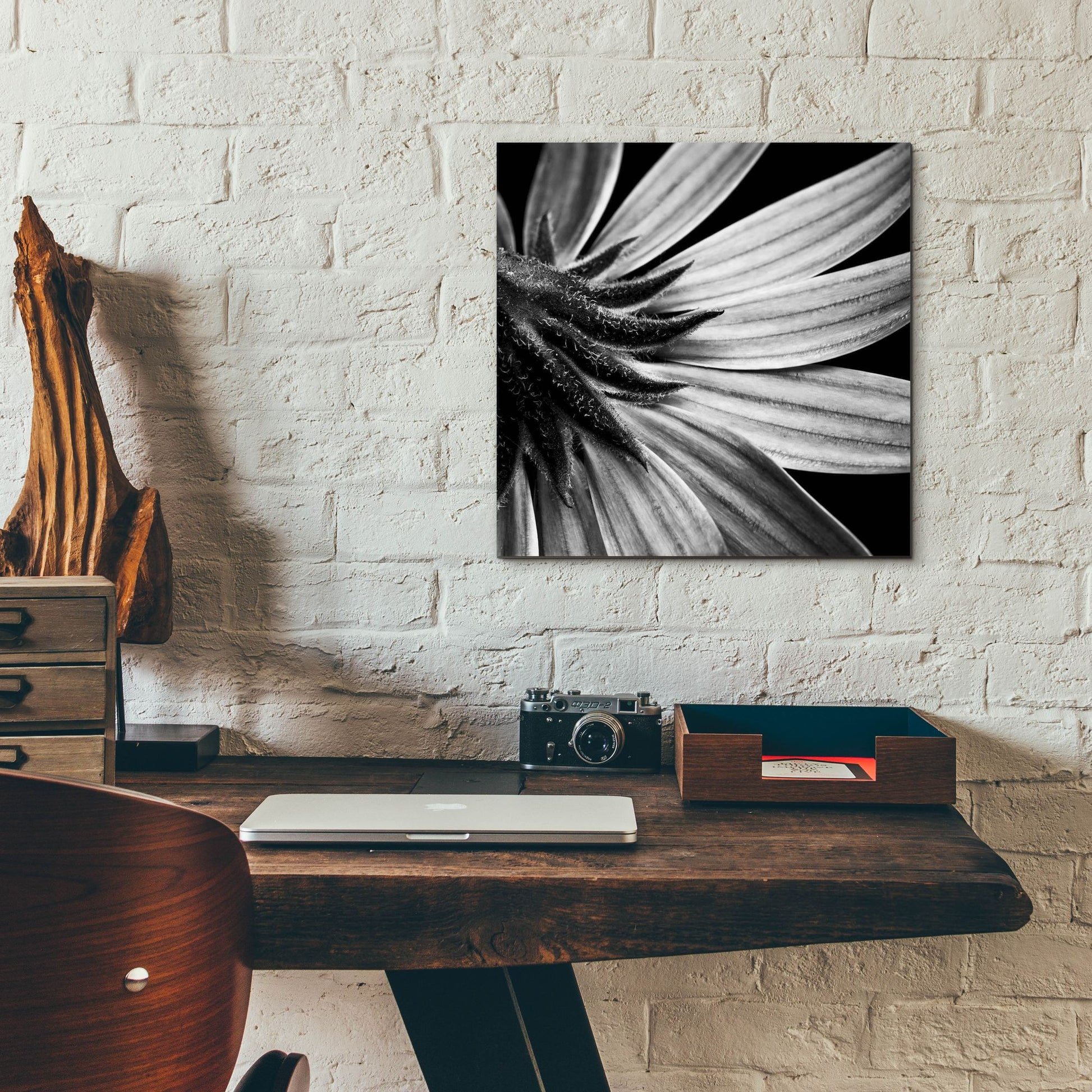 Epic Art 'Reverse Of Flower Bw' by Tom Quartermaine, Acrylic Glass Wall Art,12x12