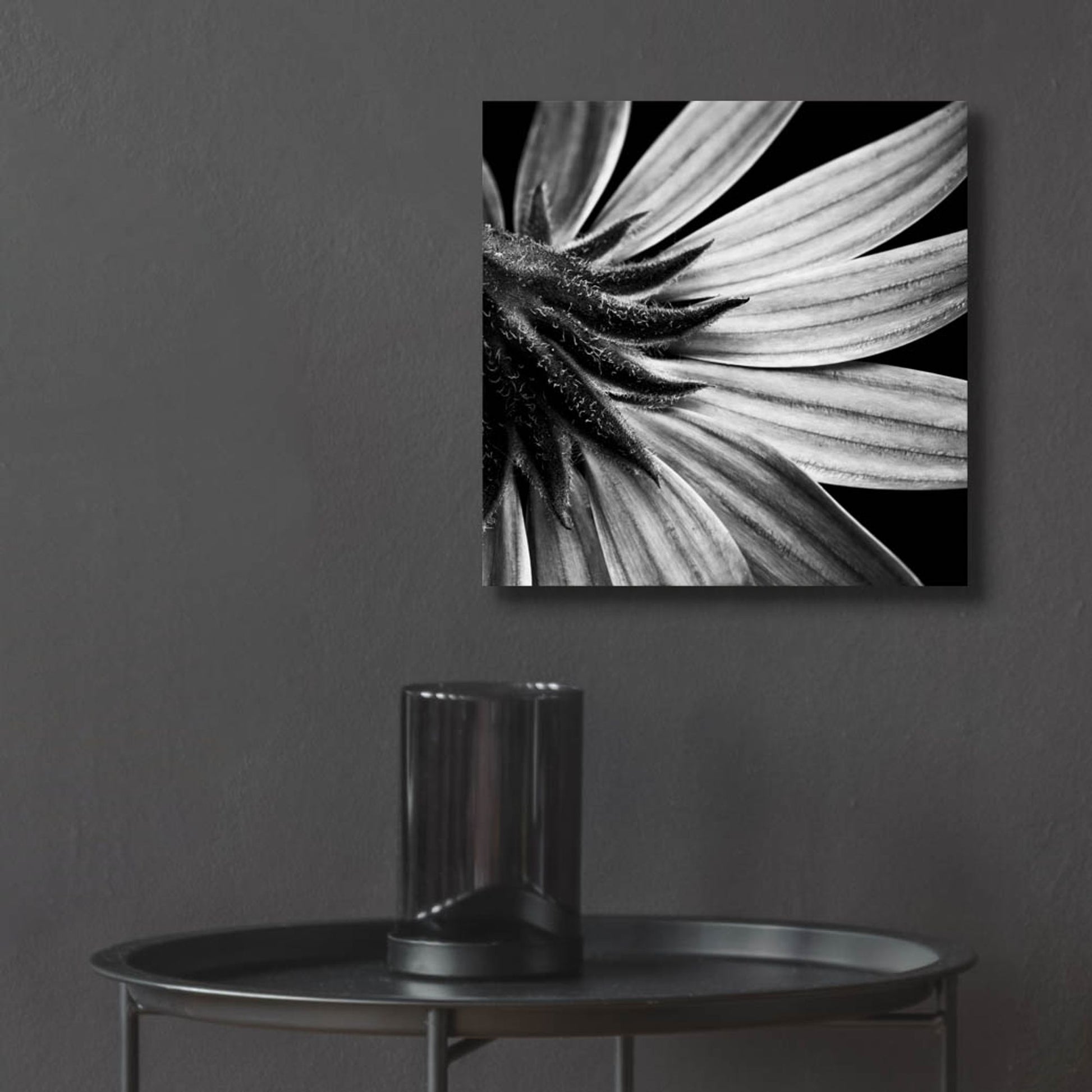 Epic Art 'Reverse Of Flower Bw' by Tom Quartermaine, Acrylic Glass Wall Art,12x12