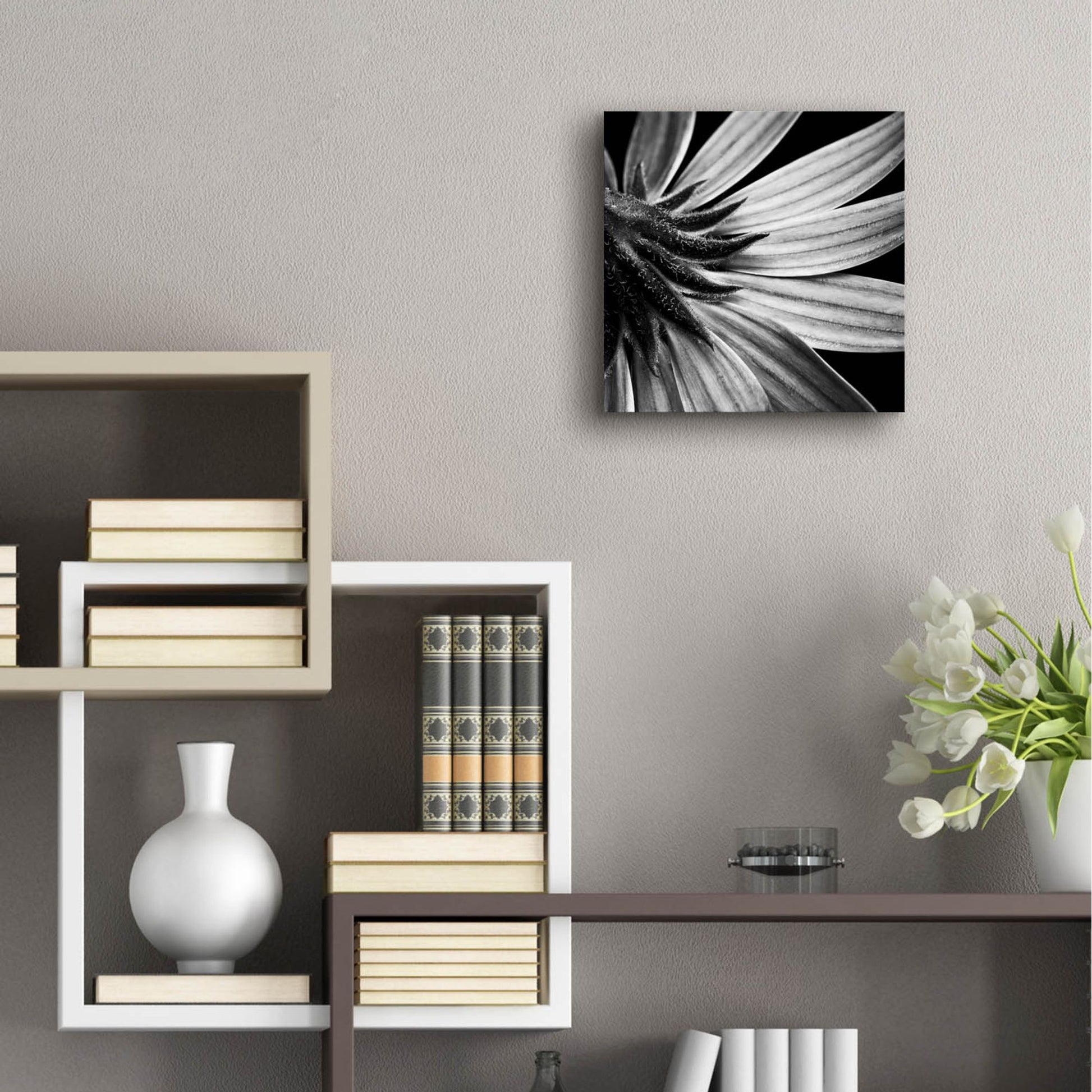 Epic Art 'Reverse Of Flower Bw' by Tom Quartermaine, Acrylic Glass Wall Art,12x12