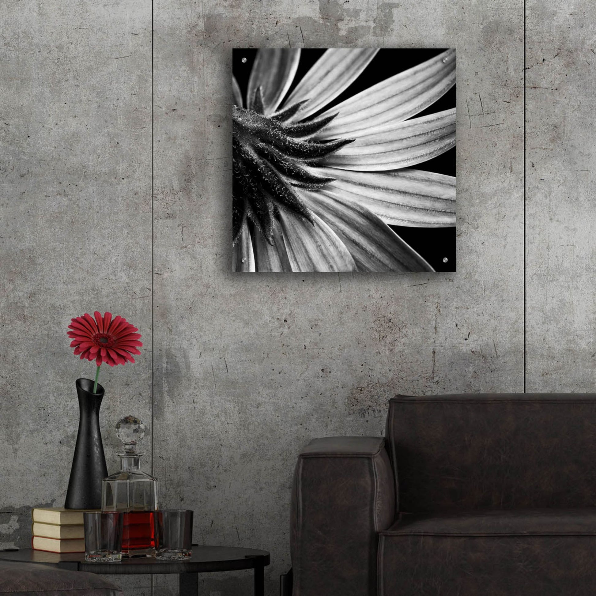 Epic Art 'Reverse Of Flower Bw' by Tom Quartermaine, Acrylic Glass Wall Art,24x24