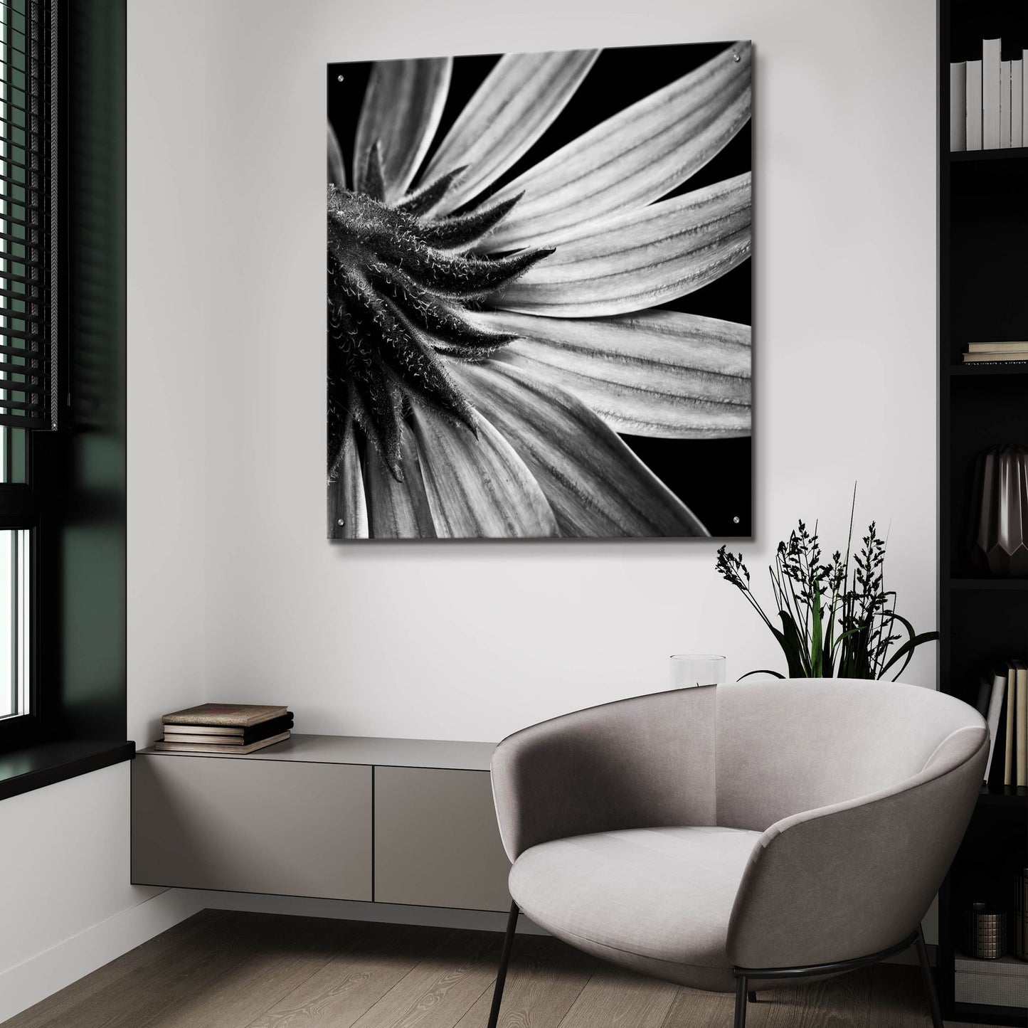 Epic Art 'Reverse Of Flower Bw' by Tom Quartermaine, Acrylic Glass Wall Art,36x36