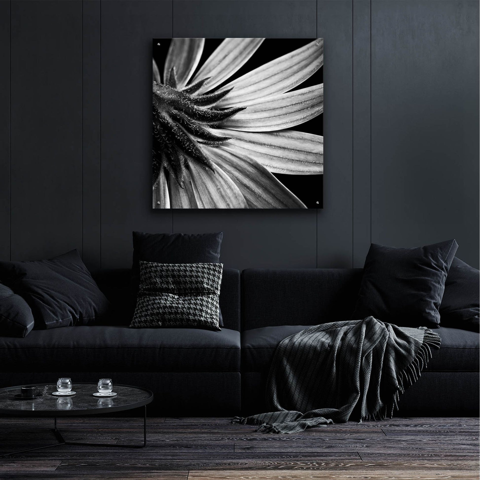 Epic Art 'Reverse Of Flower Bw' by Tom Quartermaine, Acrylic Glass Wall Art,36x36