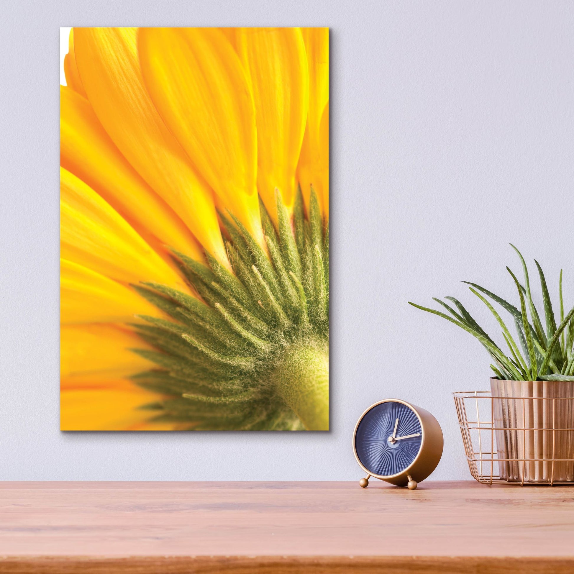 Epic Art 'Reverse Of Yellow Flower' by Tom Quartermaine, Acrylic Glass Wall Art,12x16