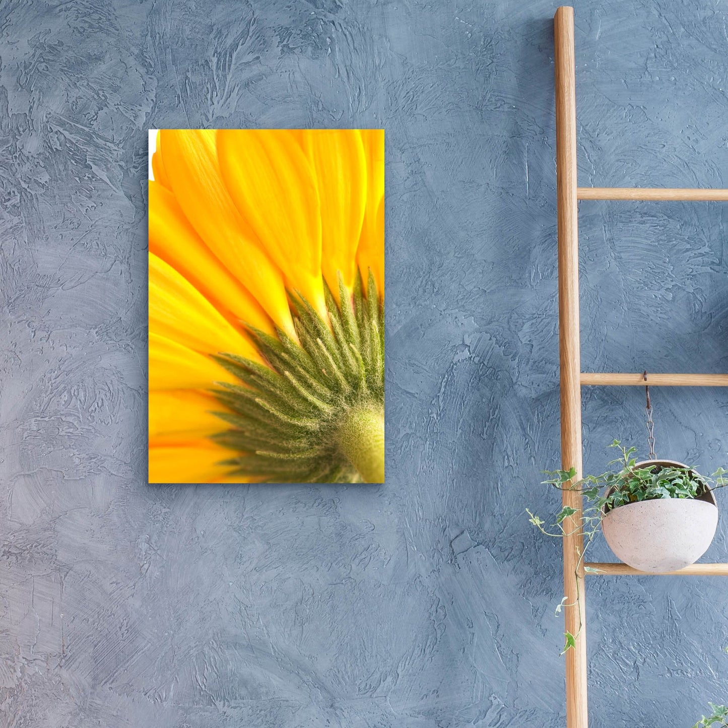 Epic Art 'Reverse Of Yellow Flower' by Tom Quartermaine, Acrylic Glass Wall Art,16x24