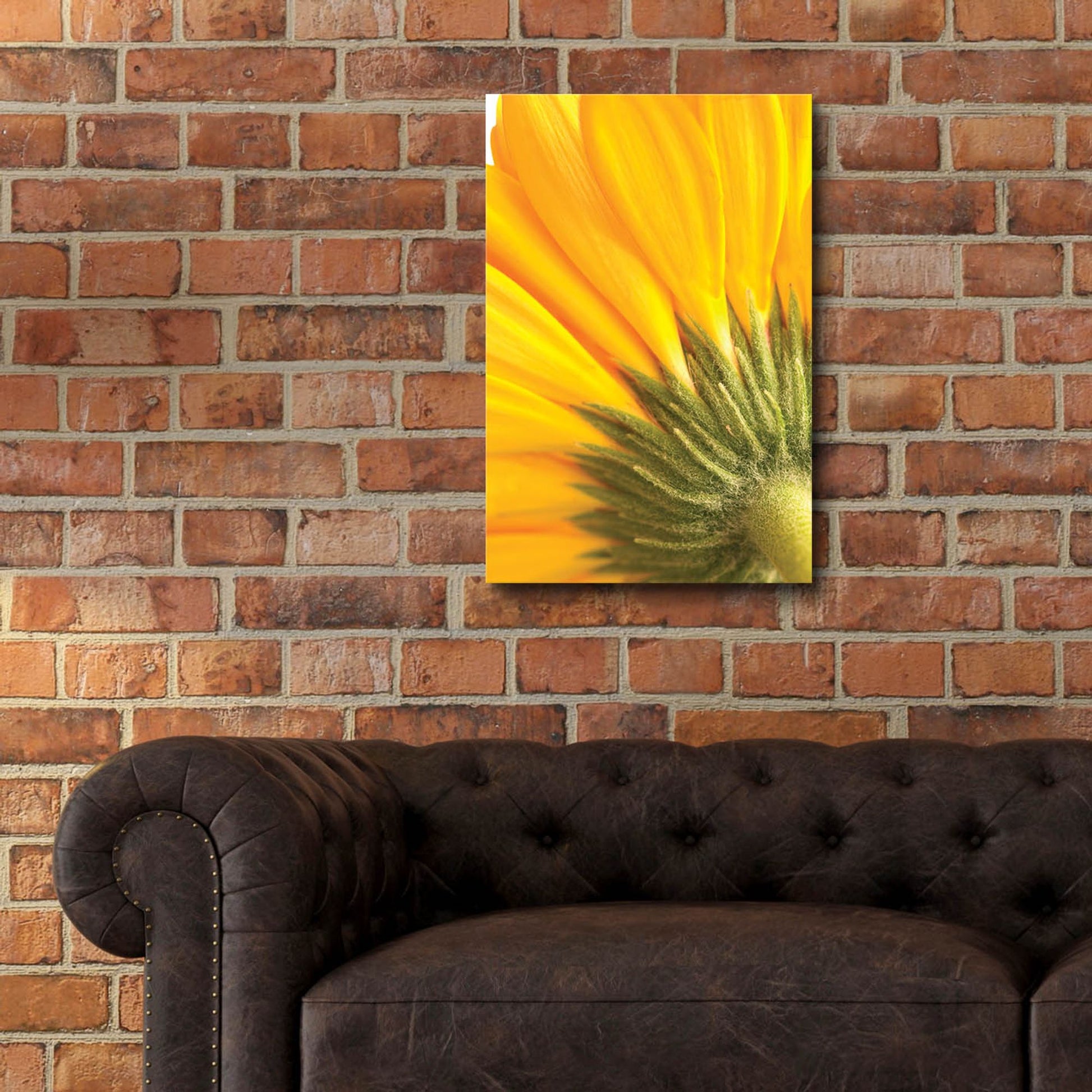 Epic Art 'Reverse Of Yellow Flower' by Tom Quartermaine, Acrylic Glass Wall Art,16x24