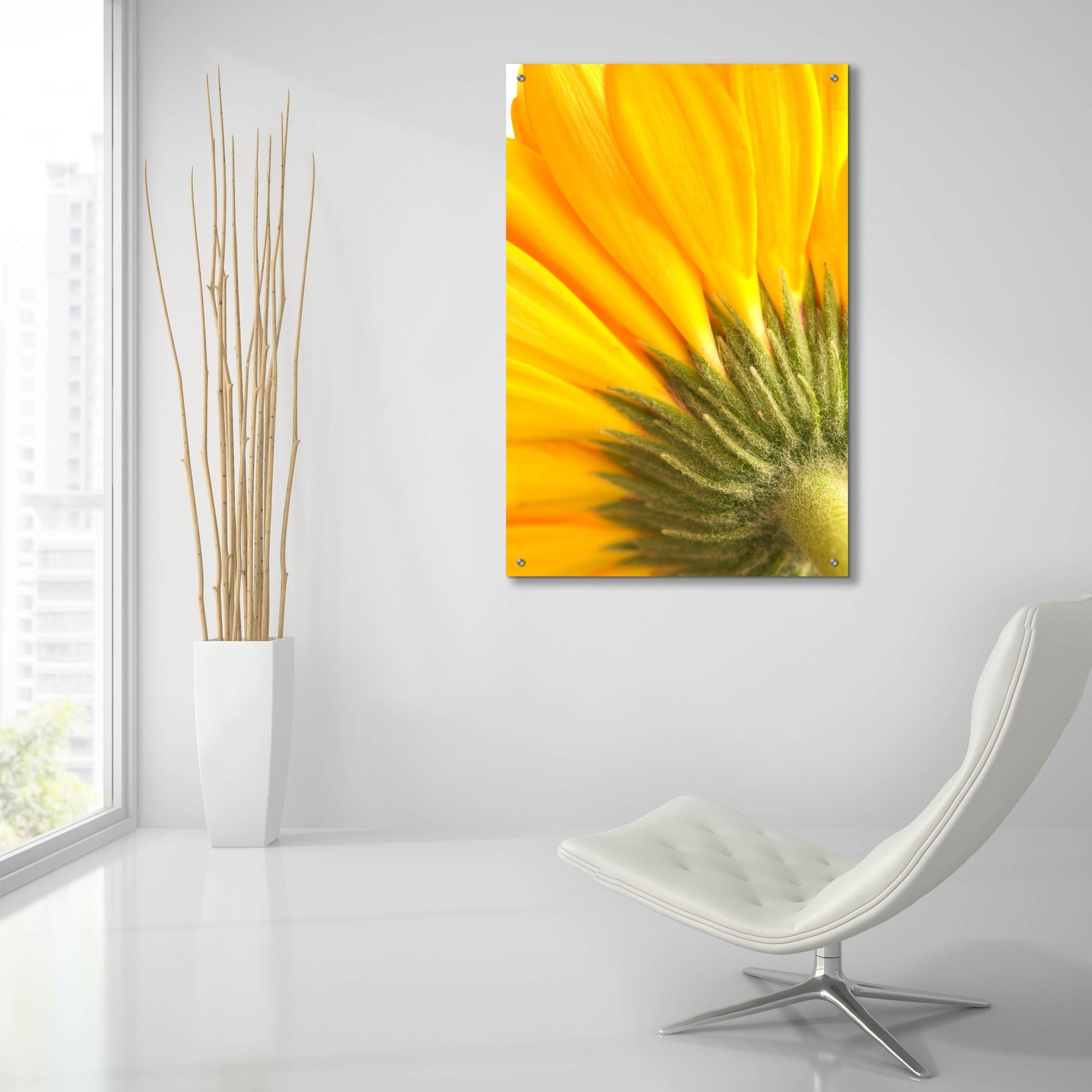 Epic Art 'Reverse Of Yellow Flower' by Tom Quartermaine, Acrylic Glass Wall Art,24x36