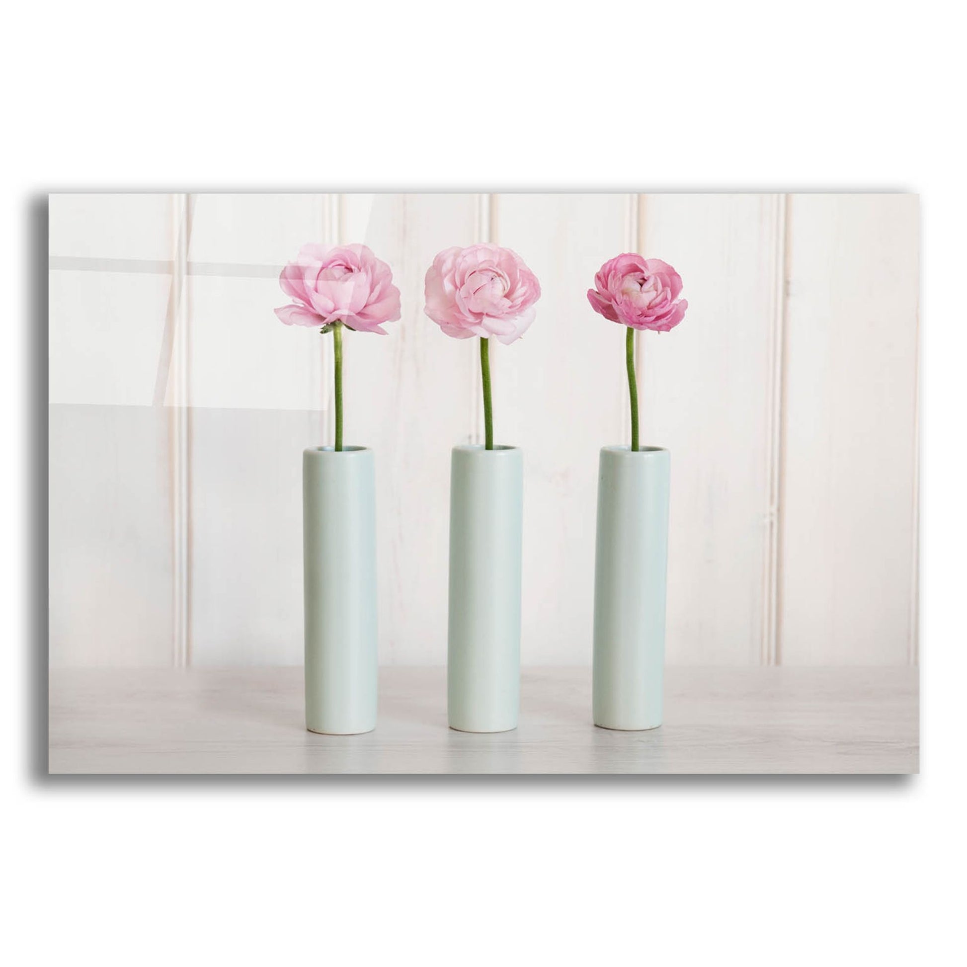 Epic Art 'Row Of 3 Pink Flowers In Blue Vases' by Tom Quartermaine, Acrylic Glass Wall Art,24x16