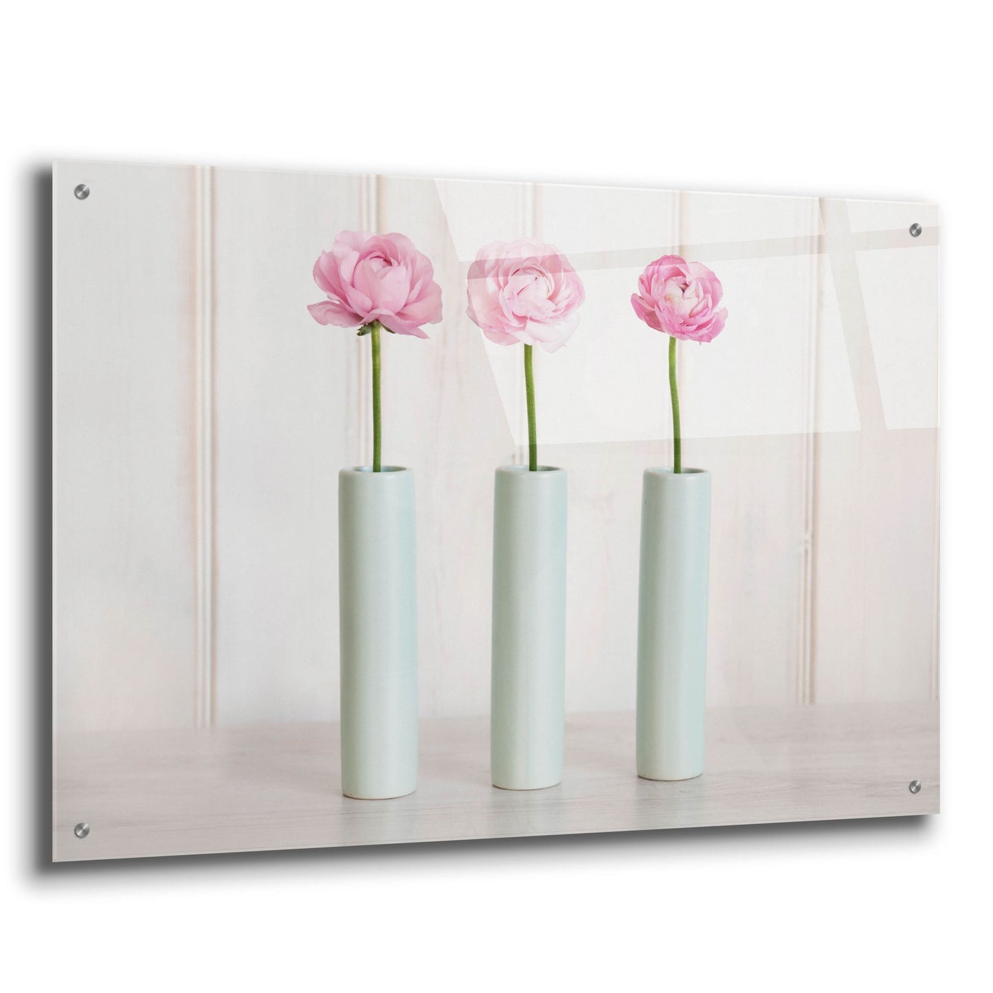 Epic Art 'Row Of 3 Pink Flowers In Blue Vases' by Tom Quartermaine, Acrylic Glass Wall Art,36x24