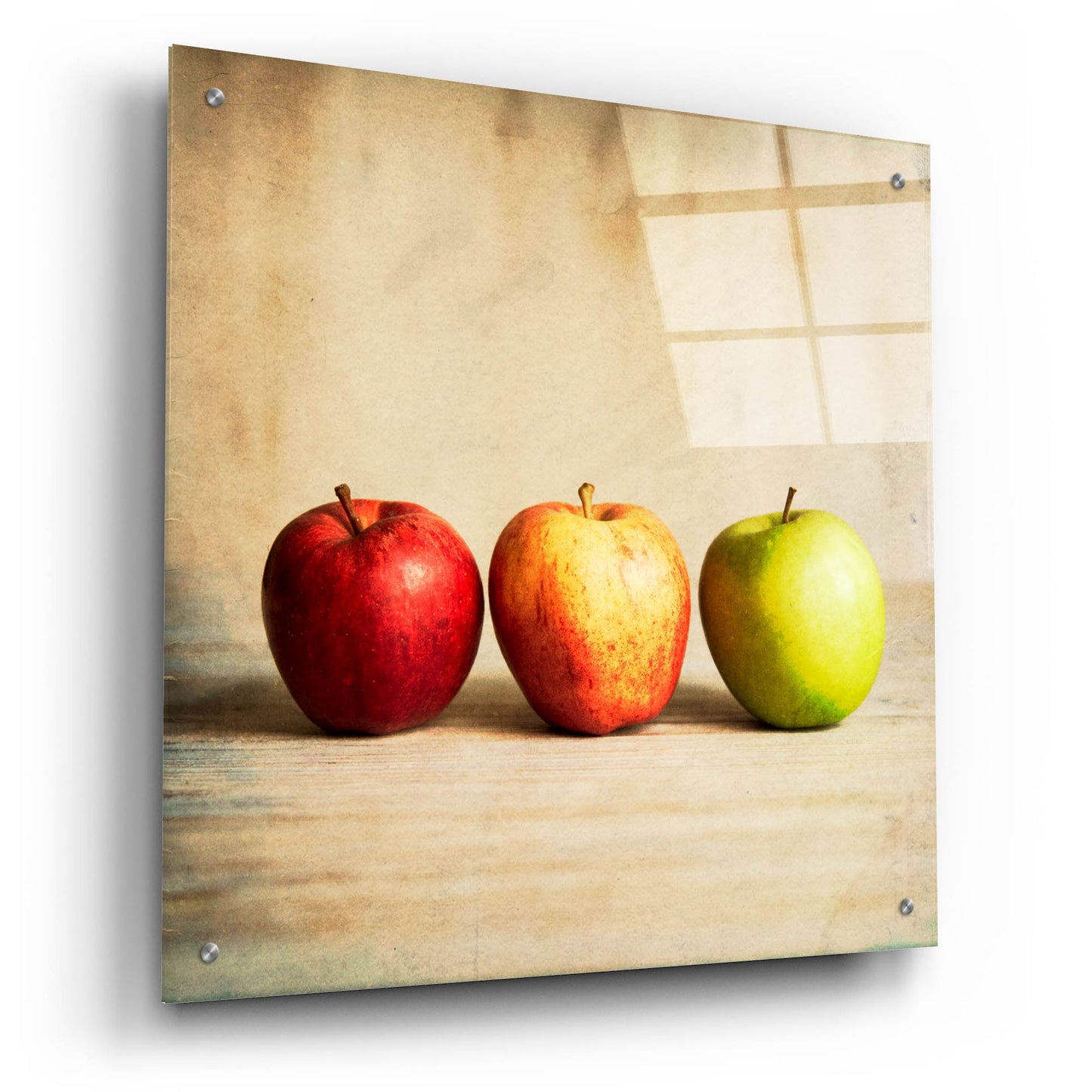 Epic Art 'Row Of Antique Fruit' by Tom Quartermaine, Acrylic Glass Wall Art,24x24