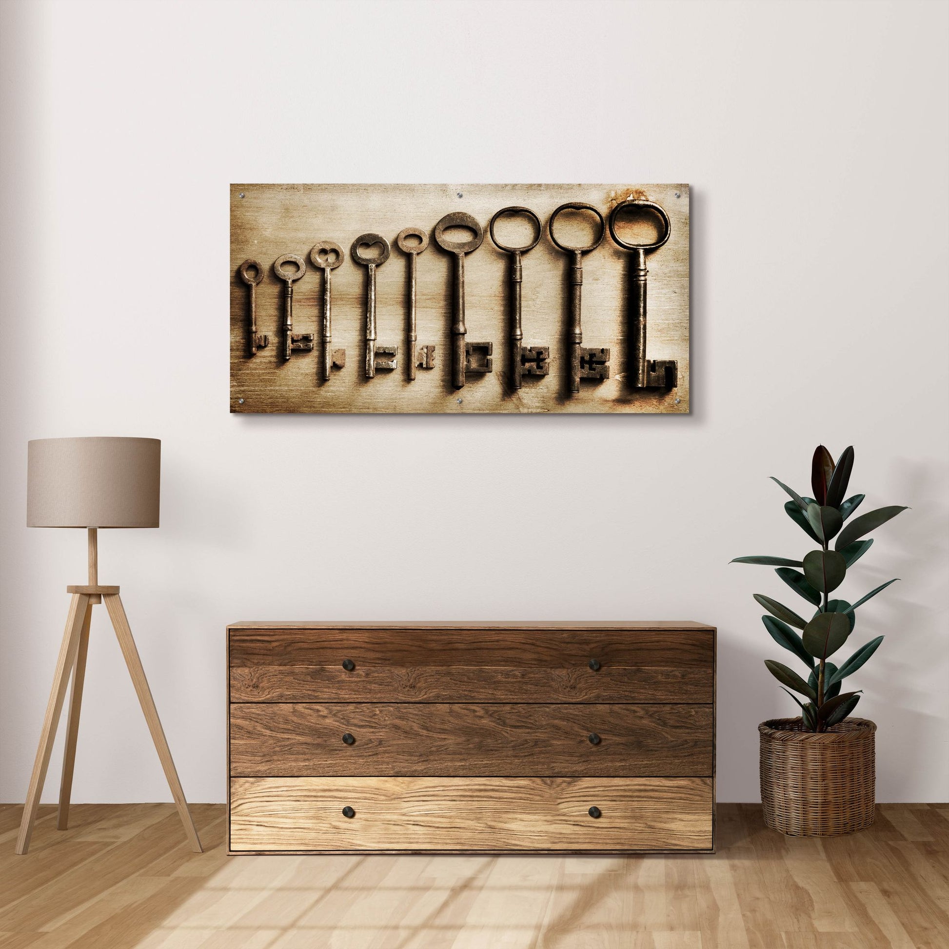 Epic Art 'Row Of Antique Keys' by Tom Quartermaine, Acrylic Glass Wall Art,48x24