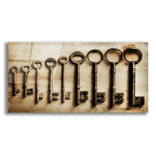 Epic Art 'Row Of Antique Keys' by Tom Quartermaine, Acrylic Glass Wall Art