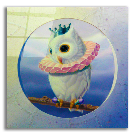 Epic Art 'The Banded Little Owl' by Valery Vecu Quitard, Acrylic Glass Wall Art