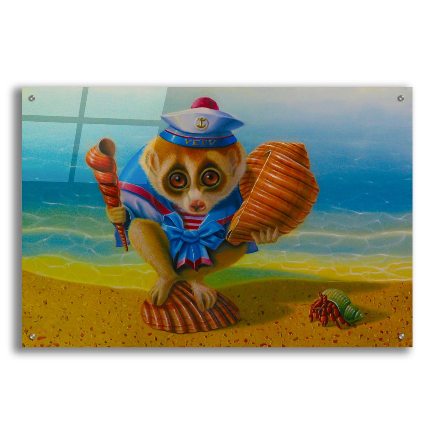 Epic Art 'The Loris On The Beach' by Valery Vecu Quitard, Acrylic Glass Wall Art