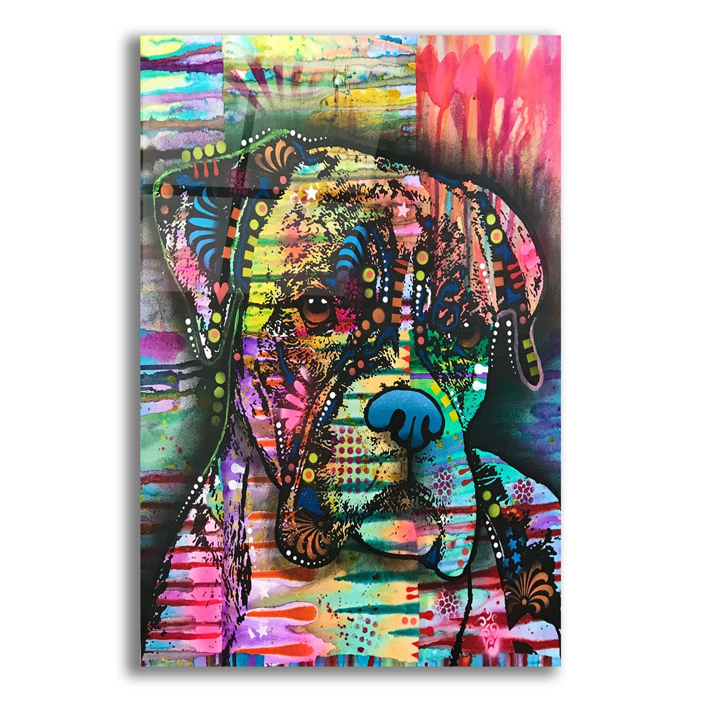 Epic Art 'A Serious Boxer' by Dean Russo Studios, Acrylic Glass Wall Art,12x16