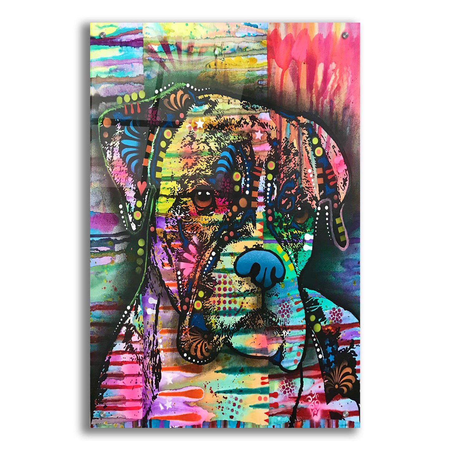 Epic Art 'A Serious Boxer' by Dean Russo Studios, Acrylic Glass Wall Art,24x36