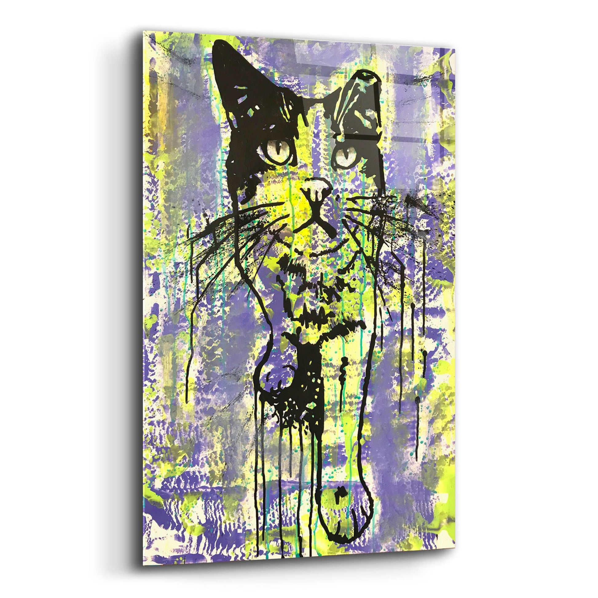 Epic Art 'Baby Cat' by Dean Russo Studios, Acrylic Glass Wall Art,12x16