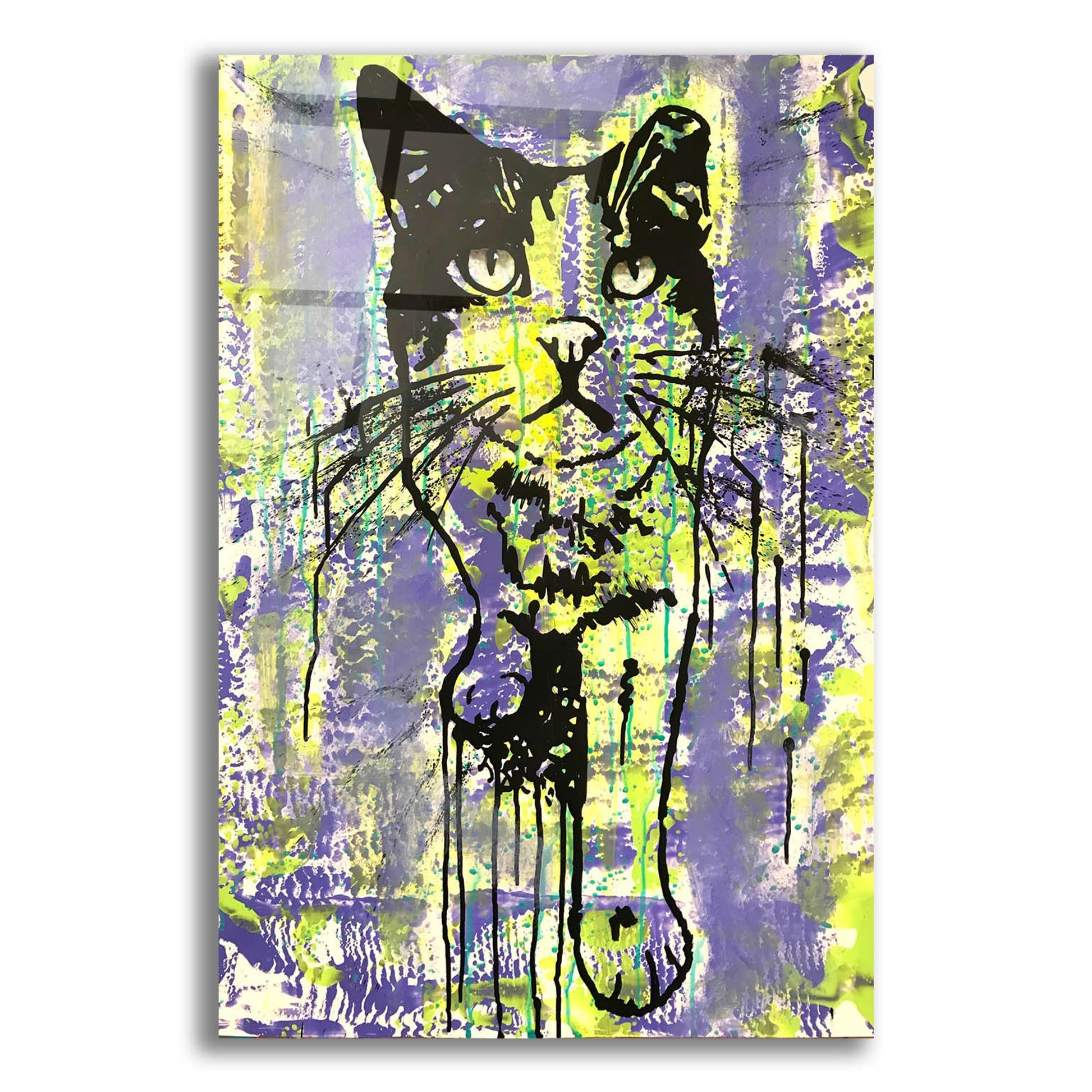 Epic Art 'Baby Cat' by Dean Russo Studios, Acrylic Glass Wall Art,12x16