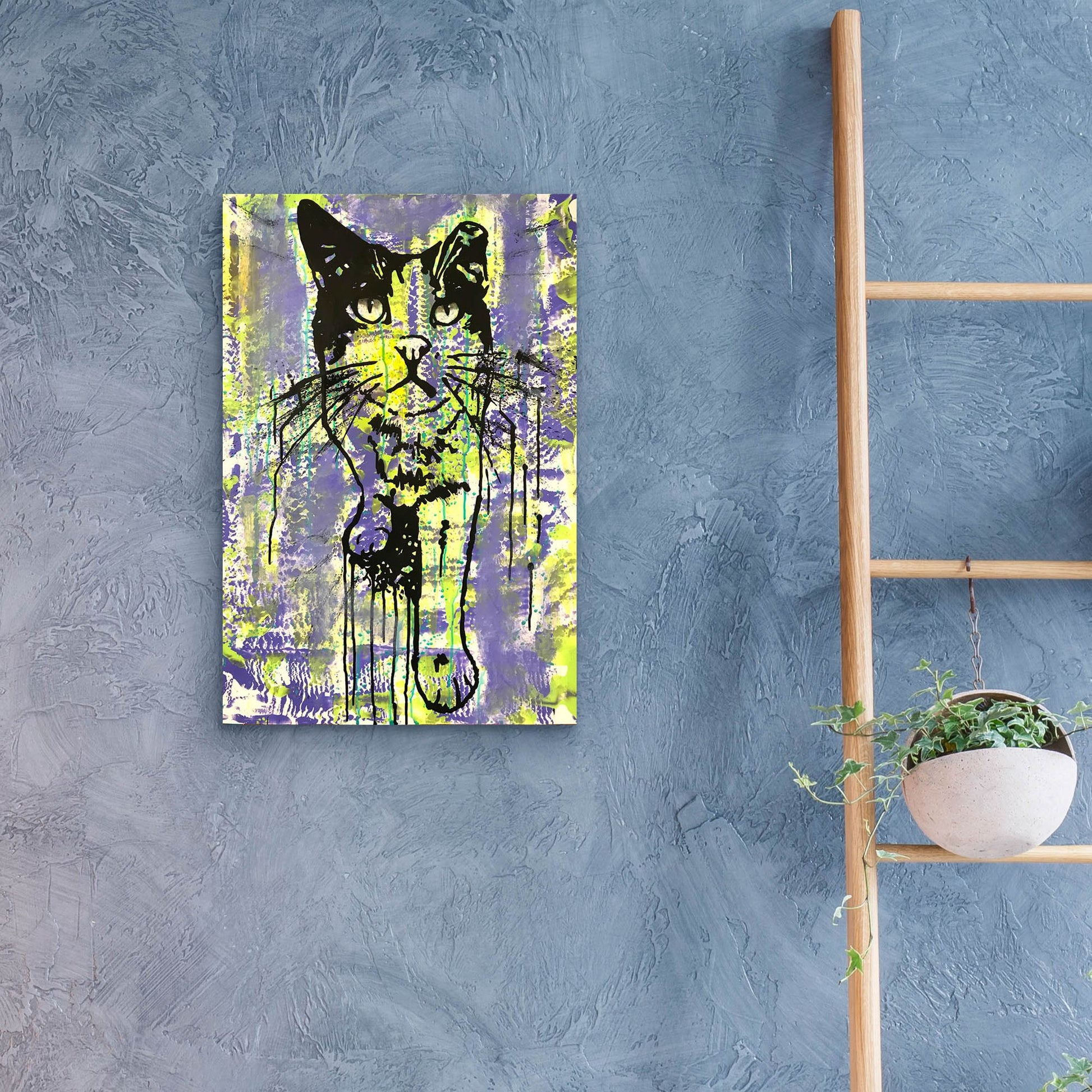 Epic Art 'Baby Cat' by Dean Russo Studios, Acrylic Glass Wall Art,16x24