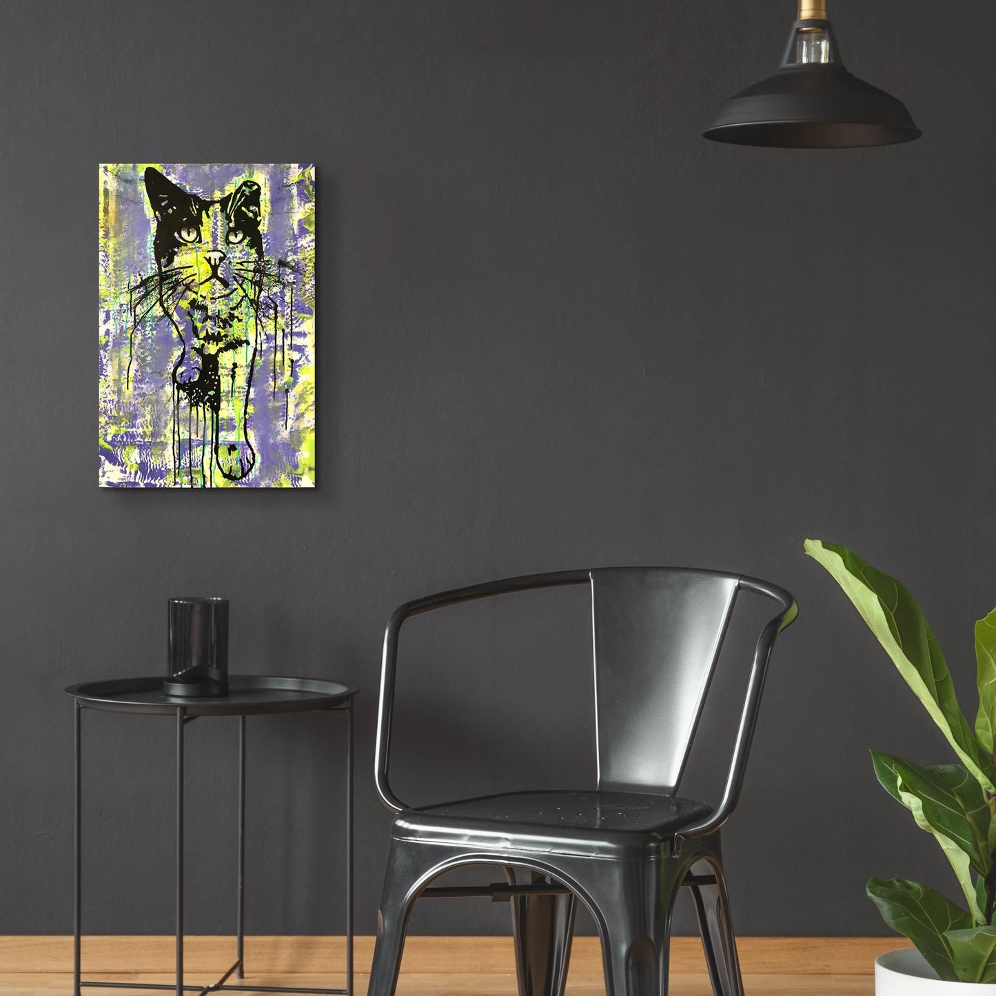 Epic Art 'Baby Cat' by Dean Russo Studios, Acrylic Glass Wall Art,16x24