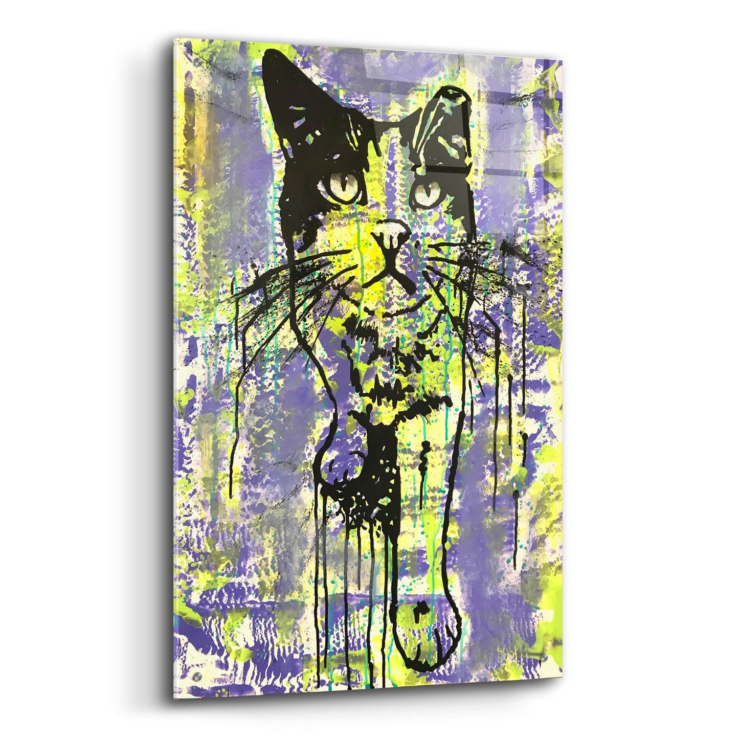 Epic Art 'Baby Cat' by Dean Russo Studios, Acrylic Glass Wall Art,24x36