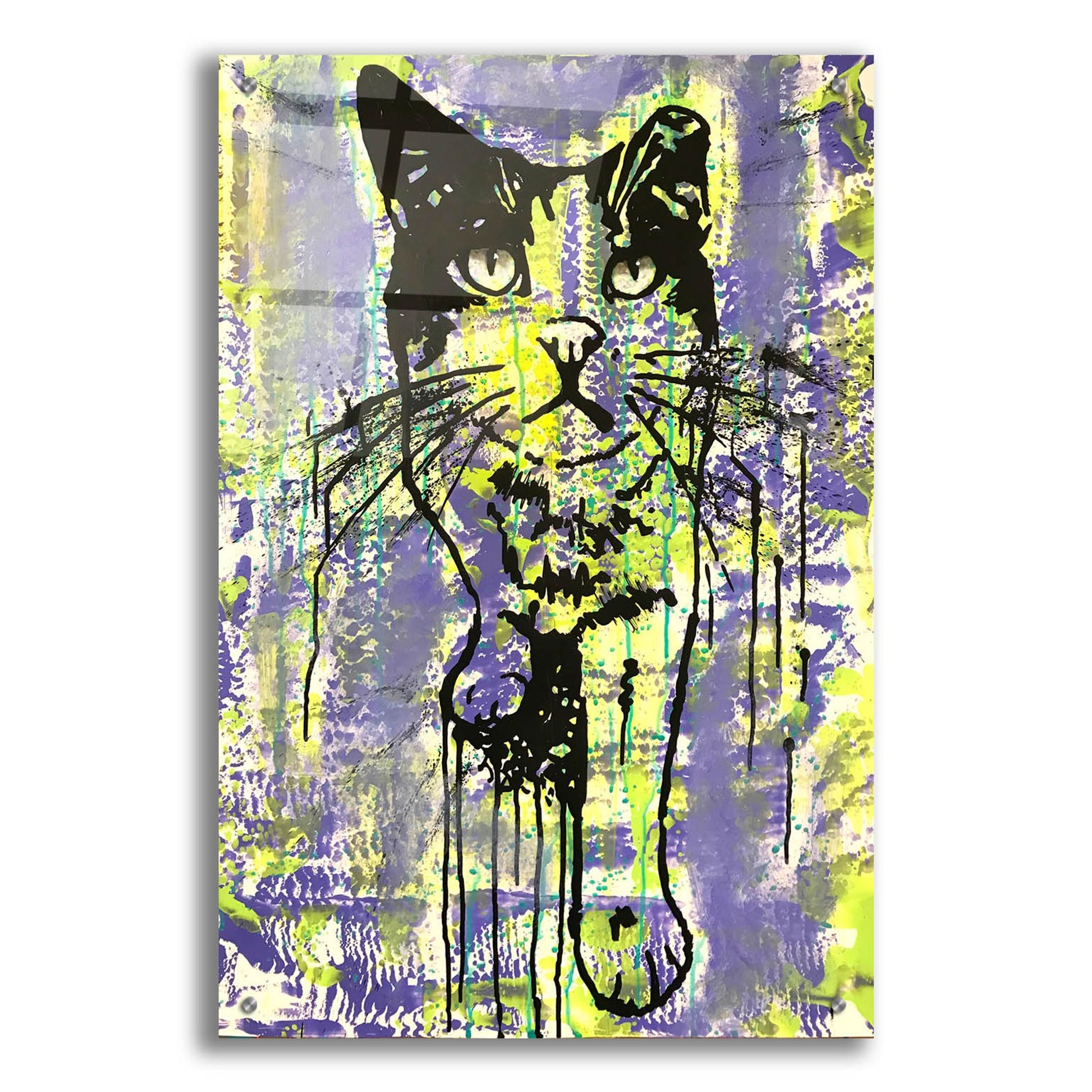 Epic Art 'Baby Cat' by Dean Russo Studios, Acrylic Glass Wall Art,24x36