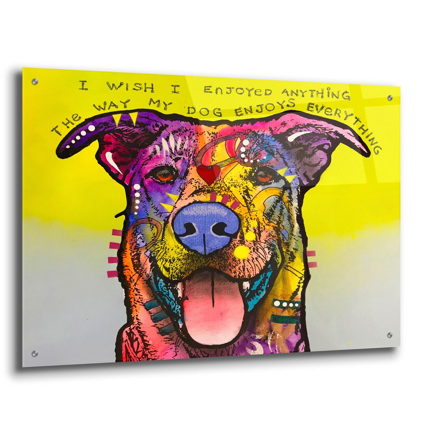 Epic Art 'Enjoy Everything' by Dean Russo Studios, Acrylic Glass Wall Art,36x24