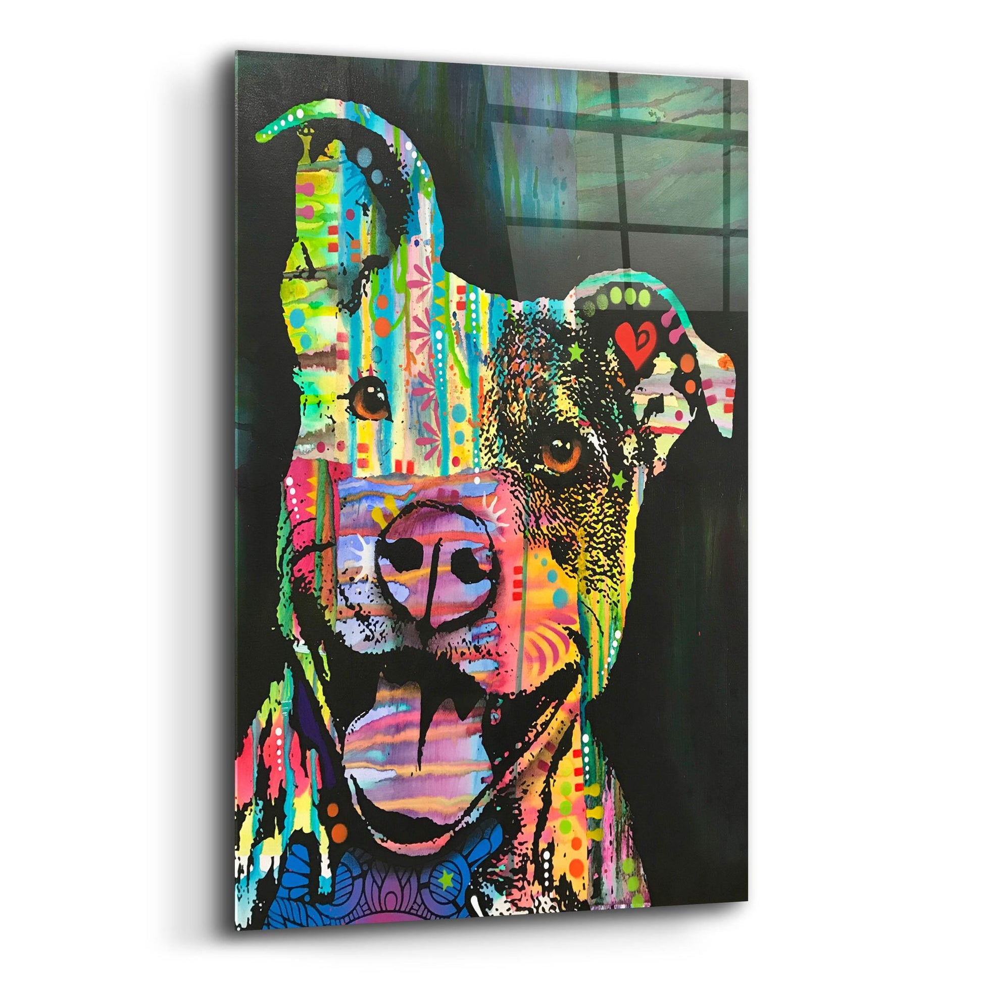 Epic Art 'Exhuberant Pit Bull' by Dean Russo Studios, Acrylic Glass Wall Art,12x16