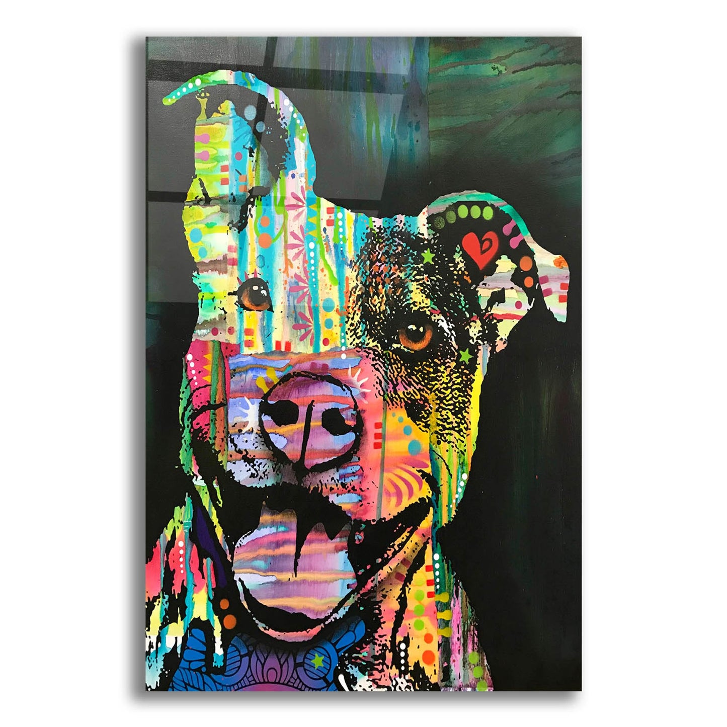 Epic Art 'Exhuberant Pit Bull' by Dean Russo Studios, Acrylic Glass Wall Art,12x16