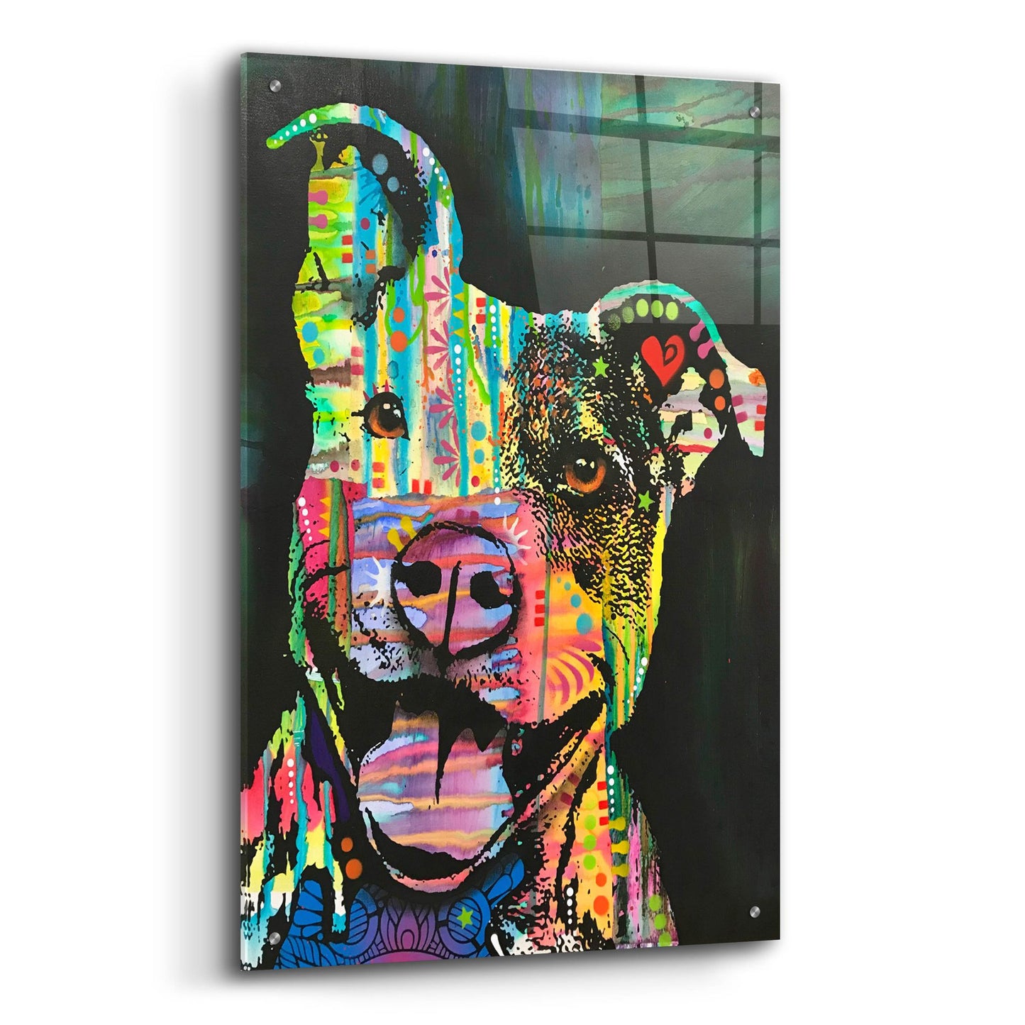 Epic Art 'Exhuberant Pit Bull' by Dean Russo Studios, Acrylic Glass Wall Art,24x36