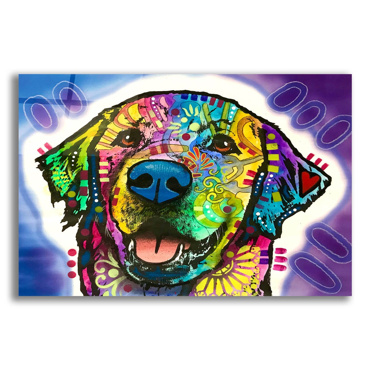 Epic Art 'Heartfelt Retriever' by Dean Russo Studios, Acrylic Glass Wall Art,16x12