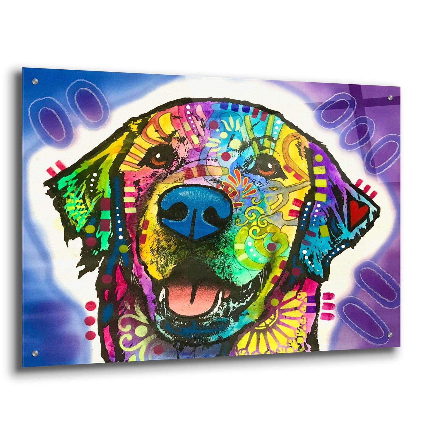 Epic Art 'Heartfelt Retriever' by Dean Russo Studios, Acrylic Glass Wall Art,36x24