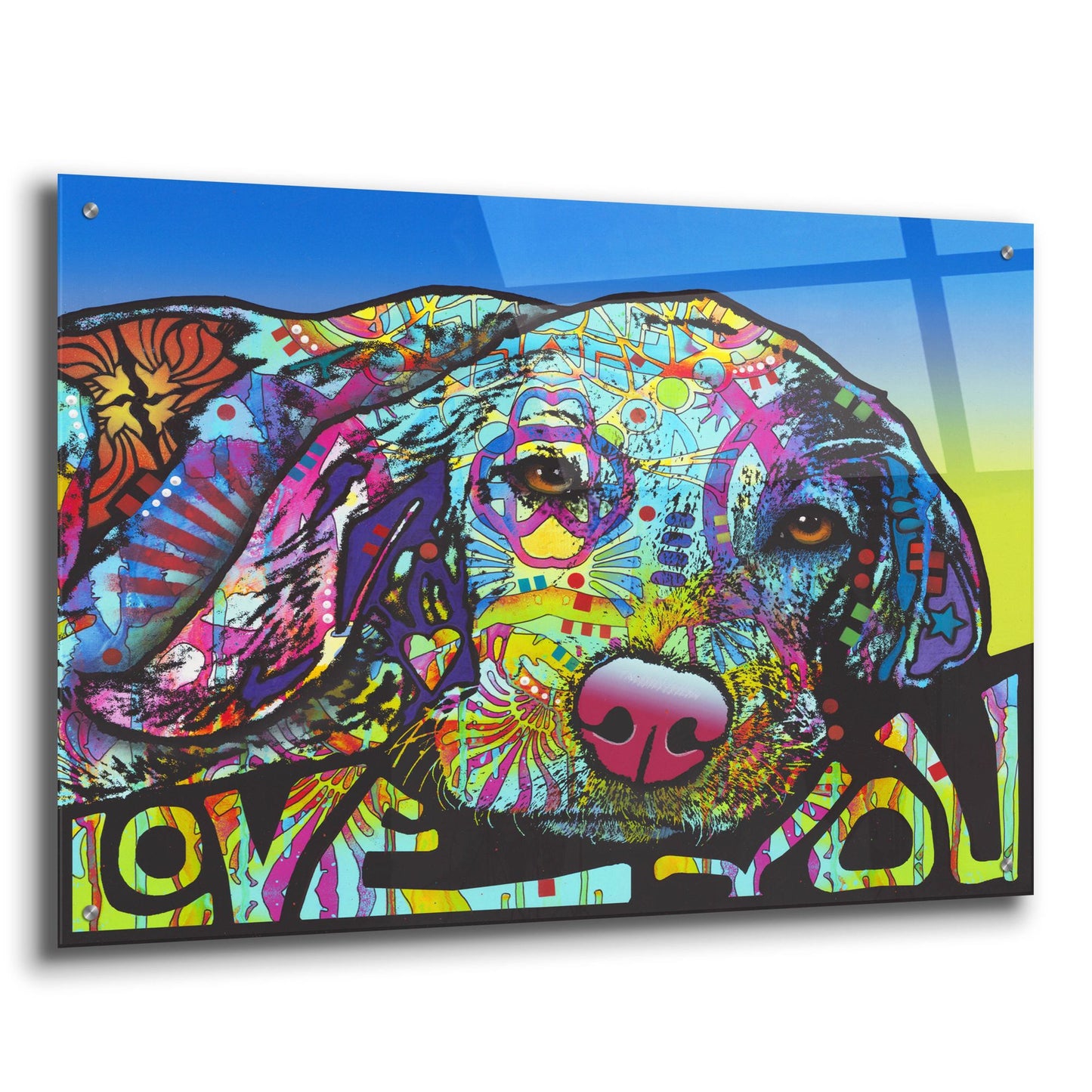 Epic Art 'Love You Hound' by Dean Russo Studios, Acrylic Glass Wall Art,36x24