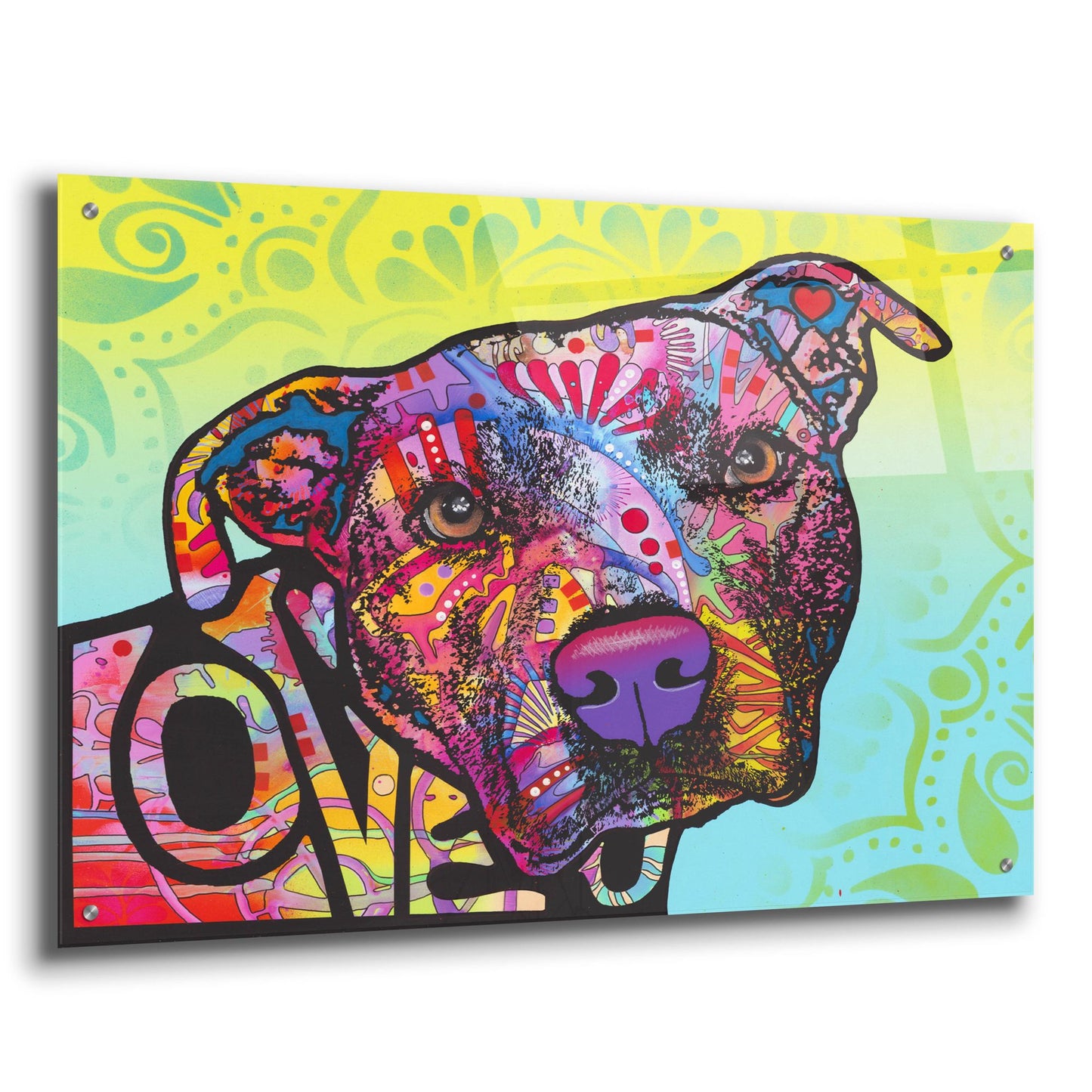 Epic Art 'Love You Pit Bull' by Dean Russo Studios, Acrylic Glass Wall Art,36x24